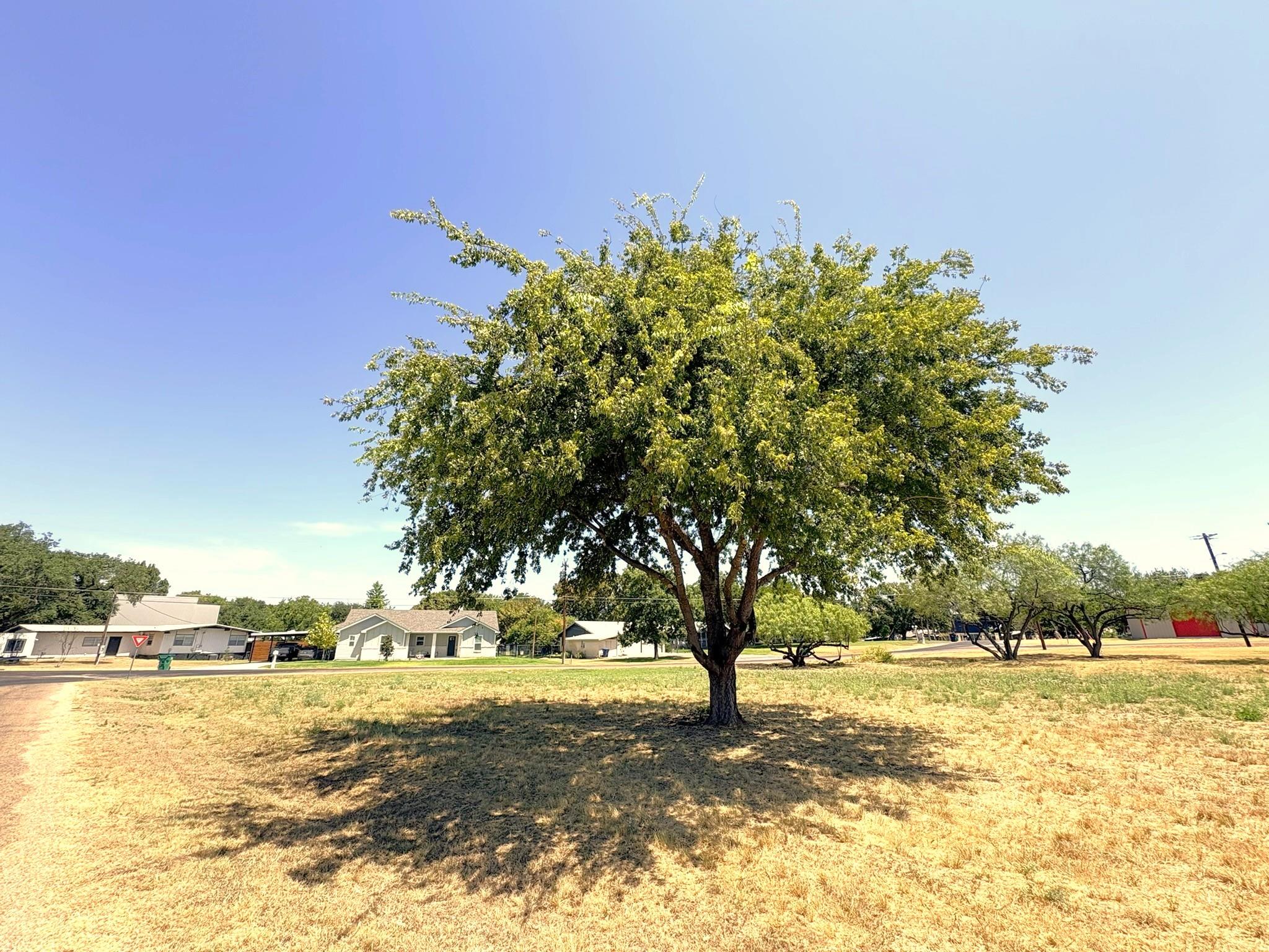 TBD Circle DR — photo 4