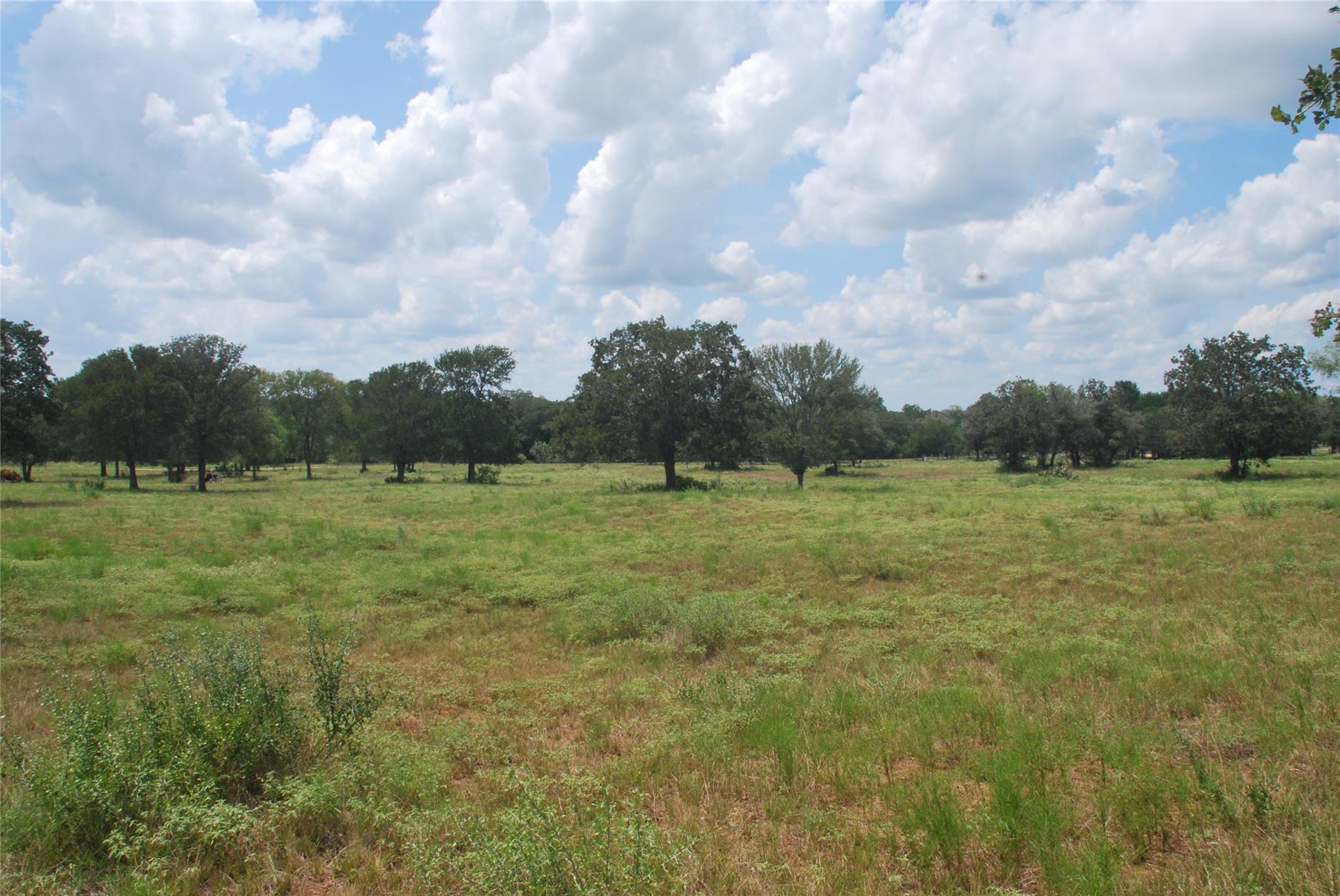 TBD Lot 24 State Highway 95 — photo 3