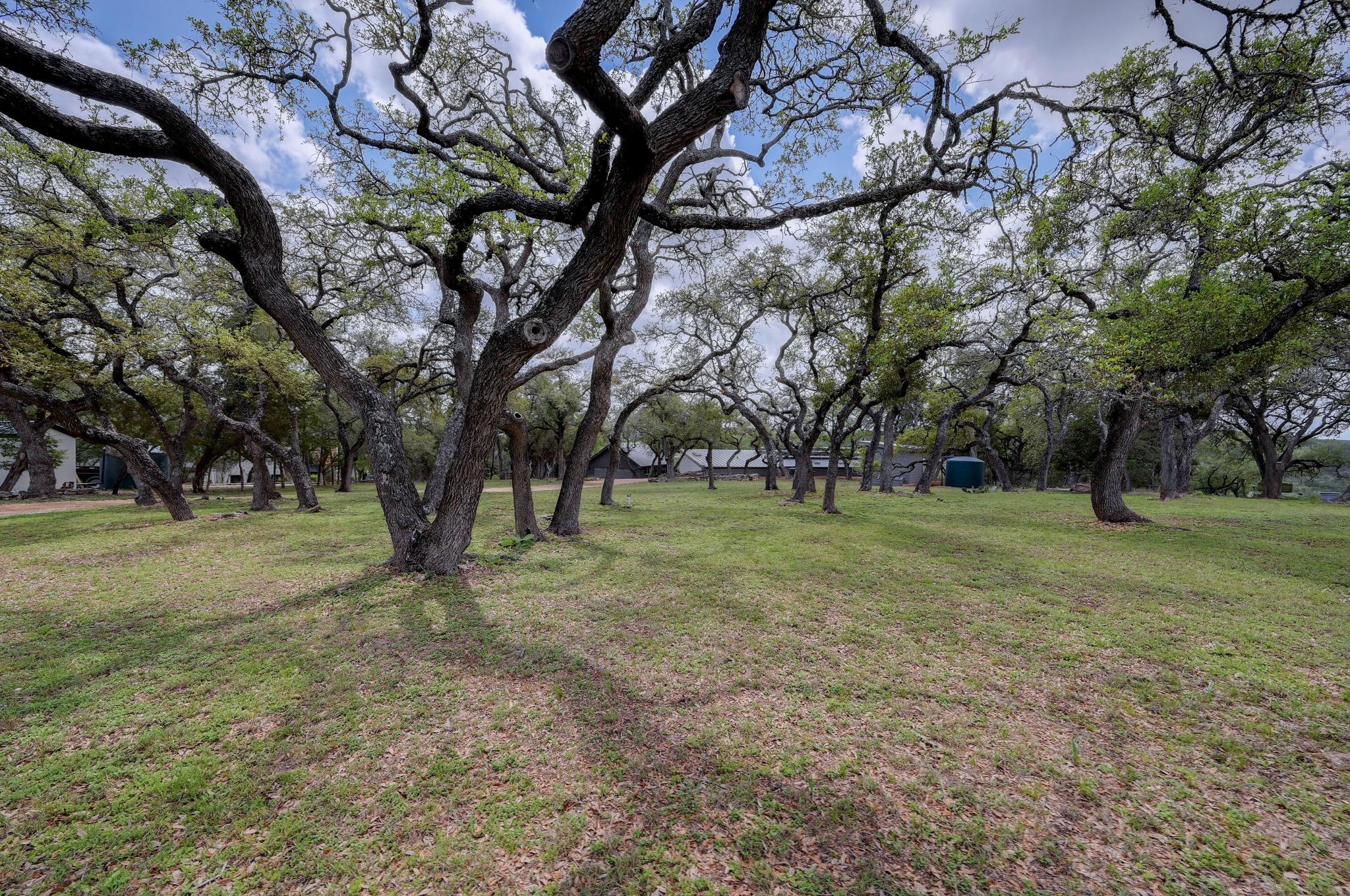 307 Mesa DR — photo 4