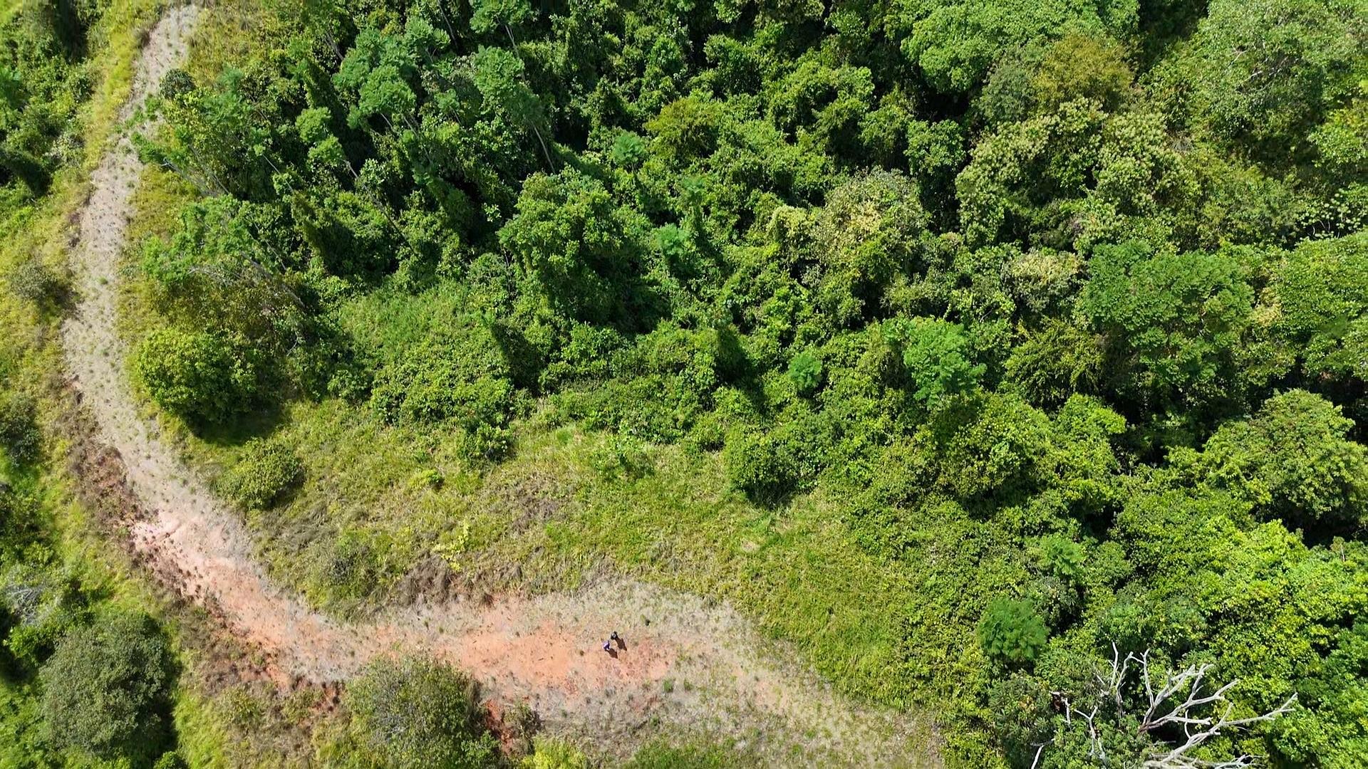 000000 Elevate Your Dreams – 3.70 Acres of Paradise — photo 4