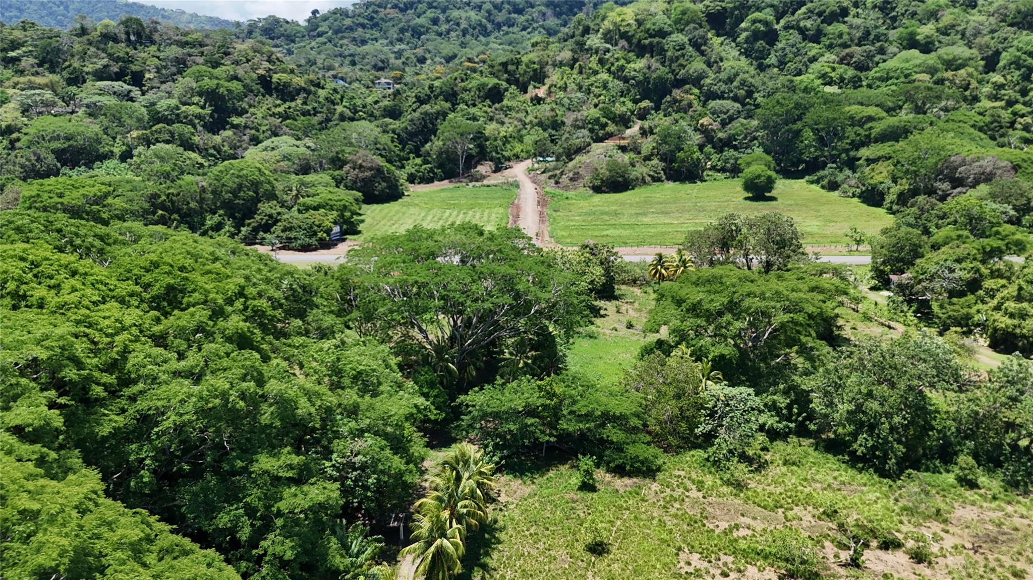000 Prime Investment Opportunity – 107.75 Acres — photo 4