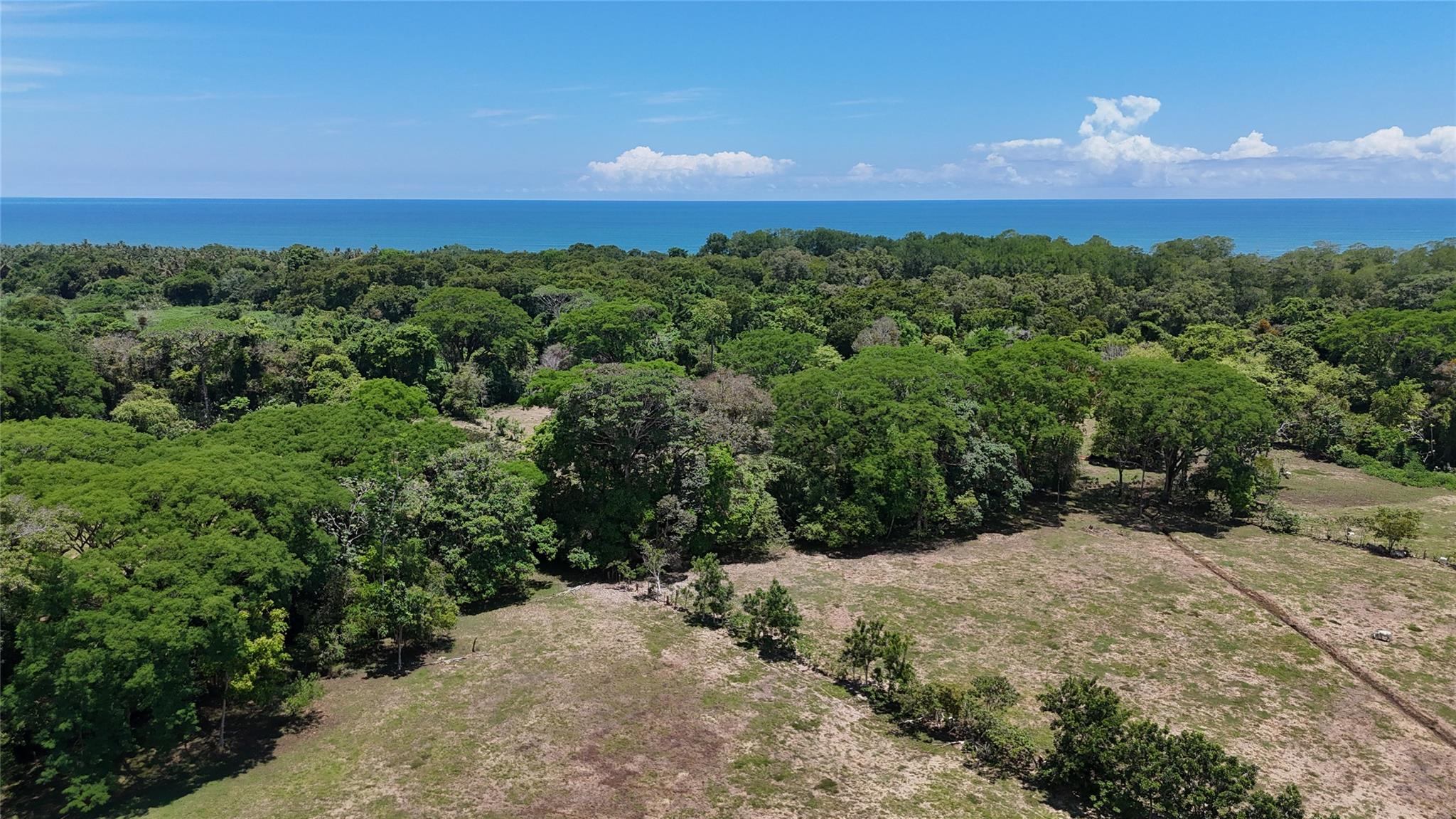000 Prime Investment Opportunity – 107.75 Acres — photo 5