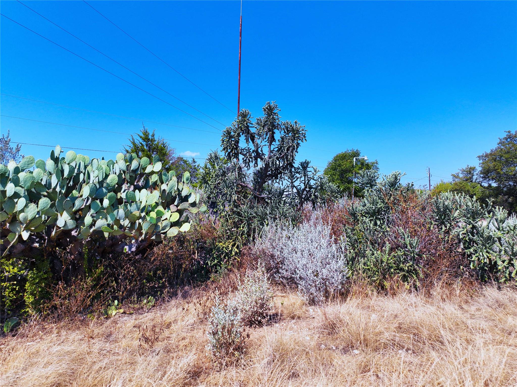 25000 Andrew DR — photo 4