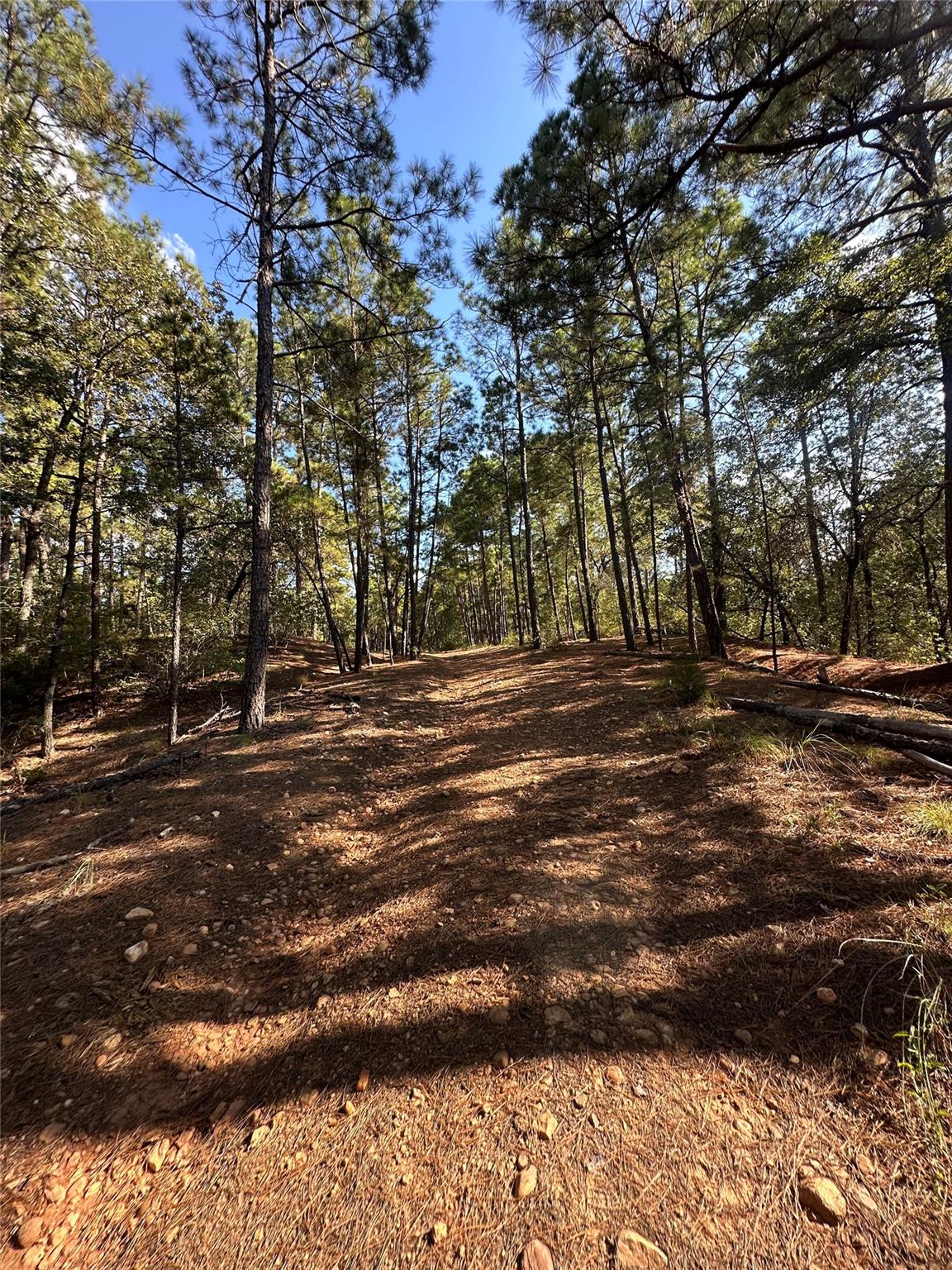 0 Pine Oak DR — photo 3