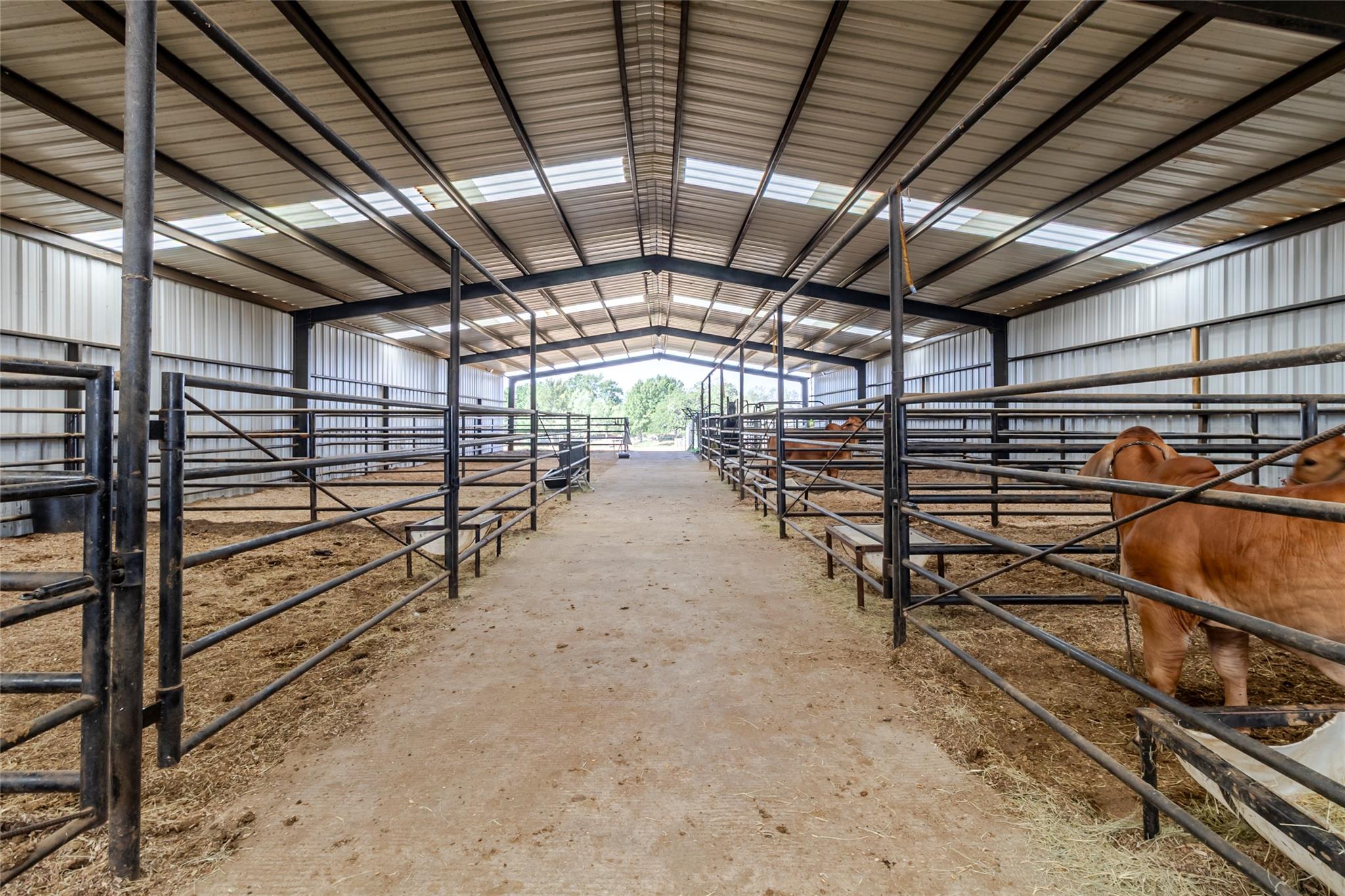 2015 TX-21 — photo 4