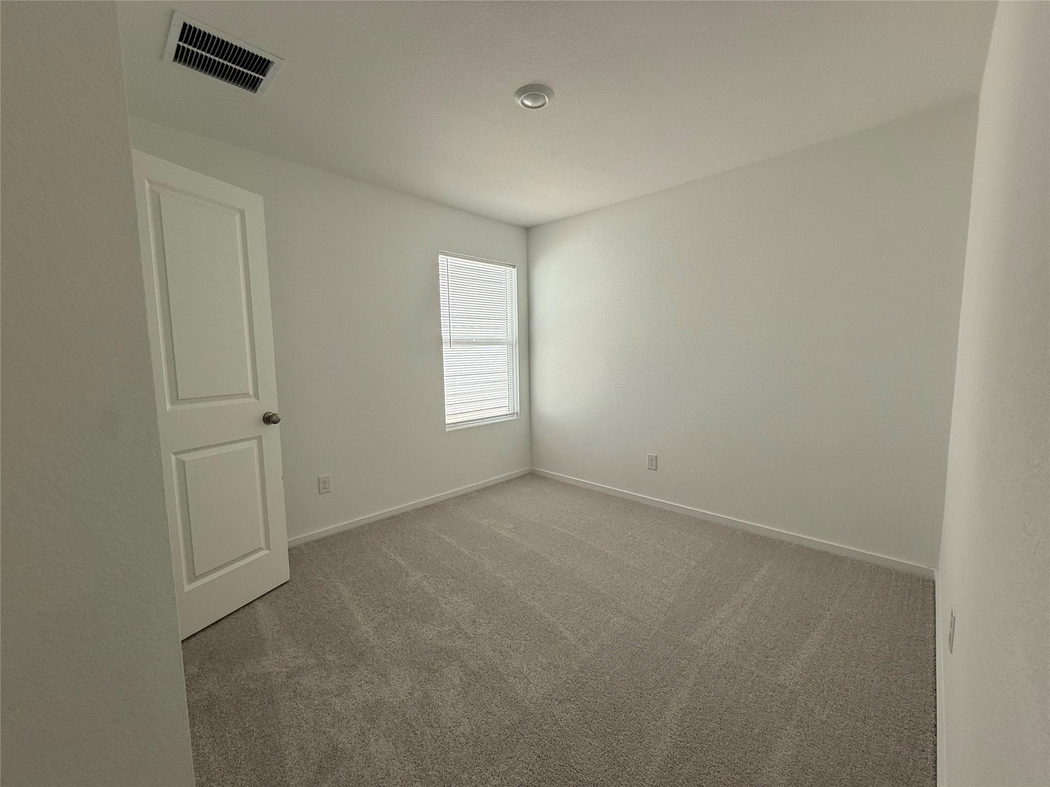 785 Whoopers LOOP — photo 5