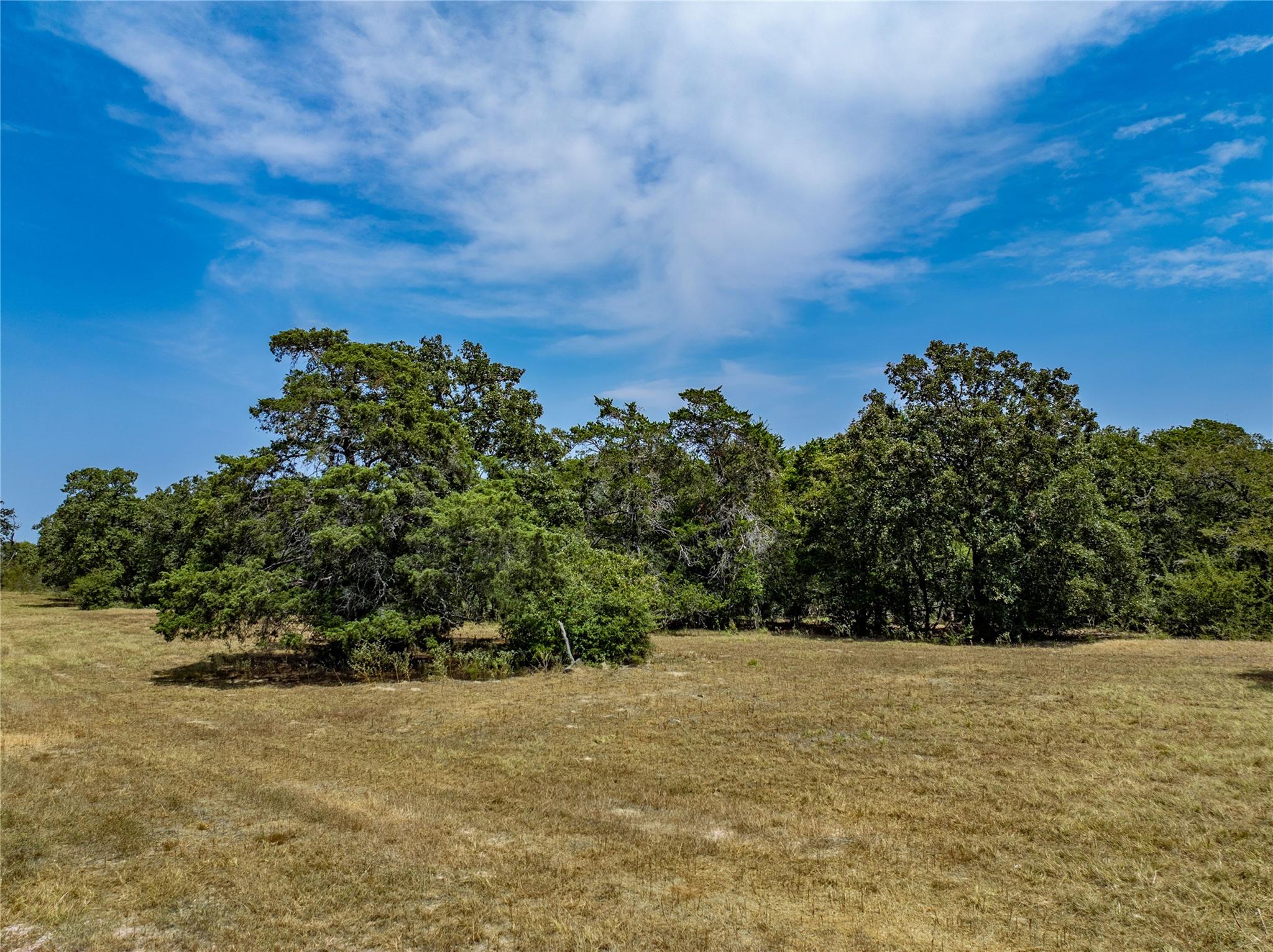 1046 Tx-71 — photo 3