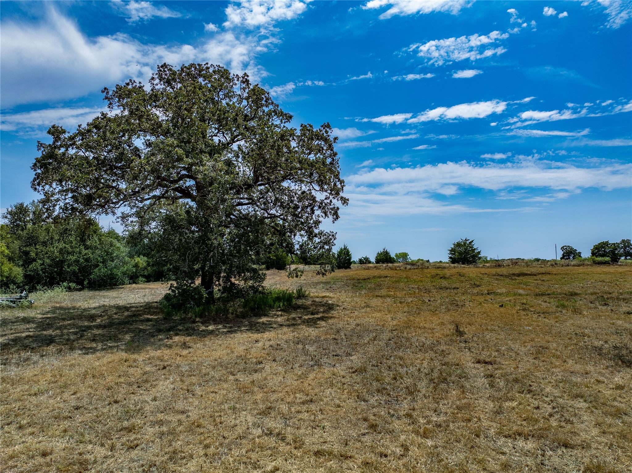 1046 Tx-71 — photo 4