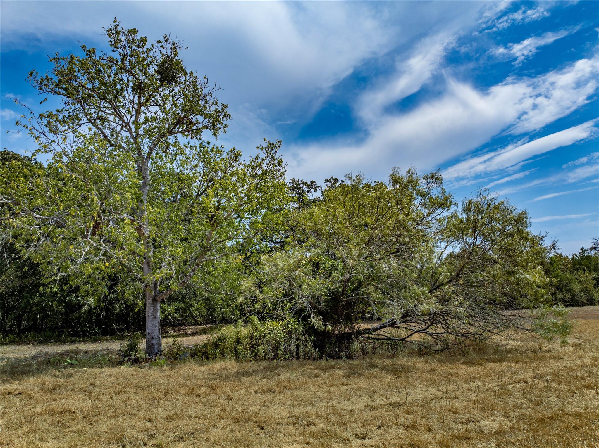 1046 Tx-71 — photo 5