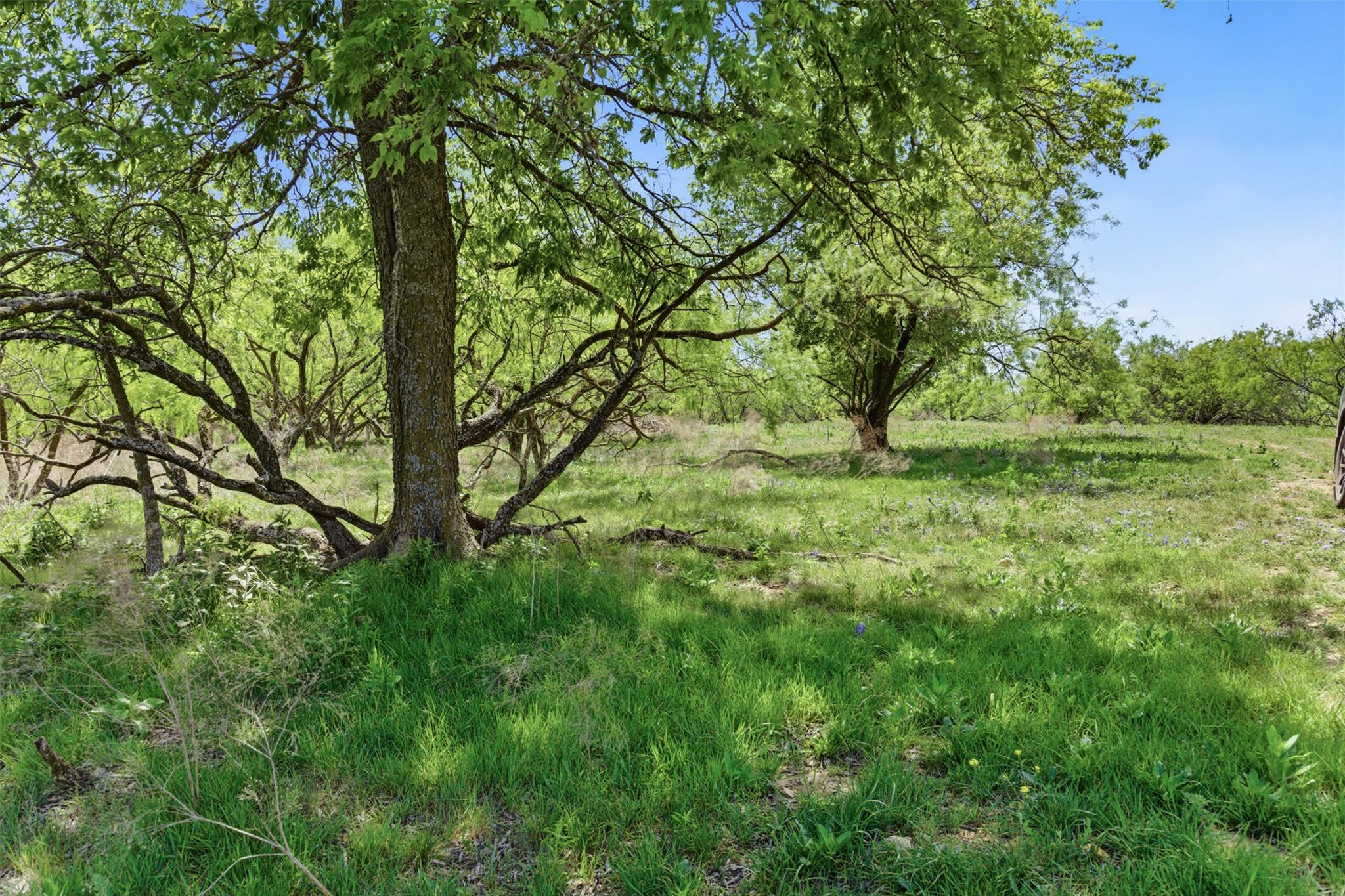 6947 Moody RD — photo 3