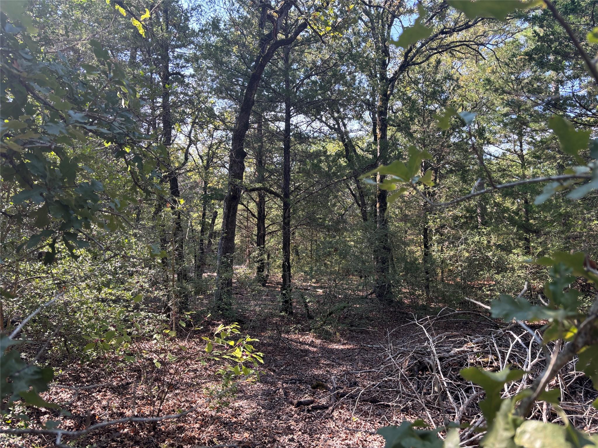 667 Paint Creek South RD — photo 3