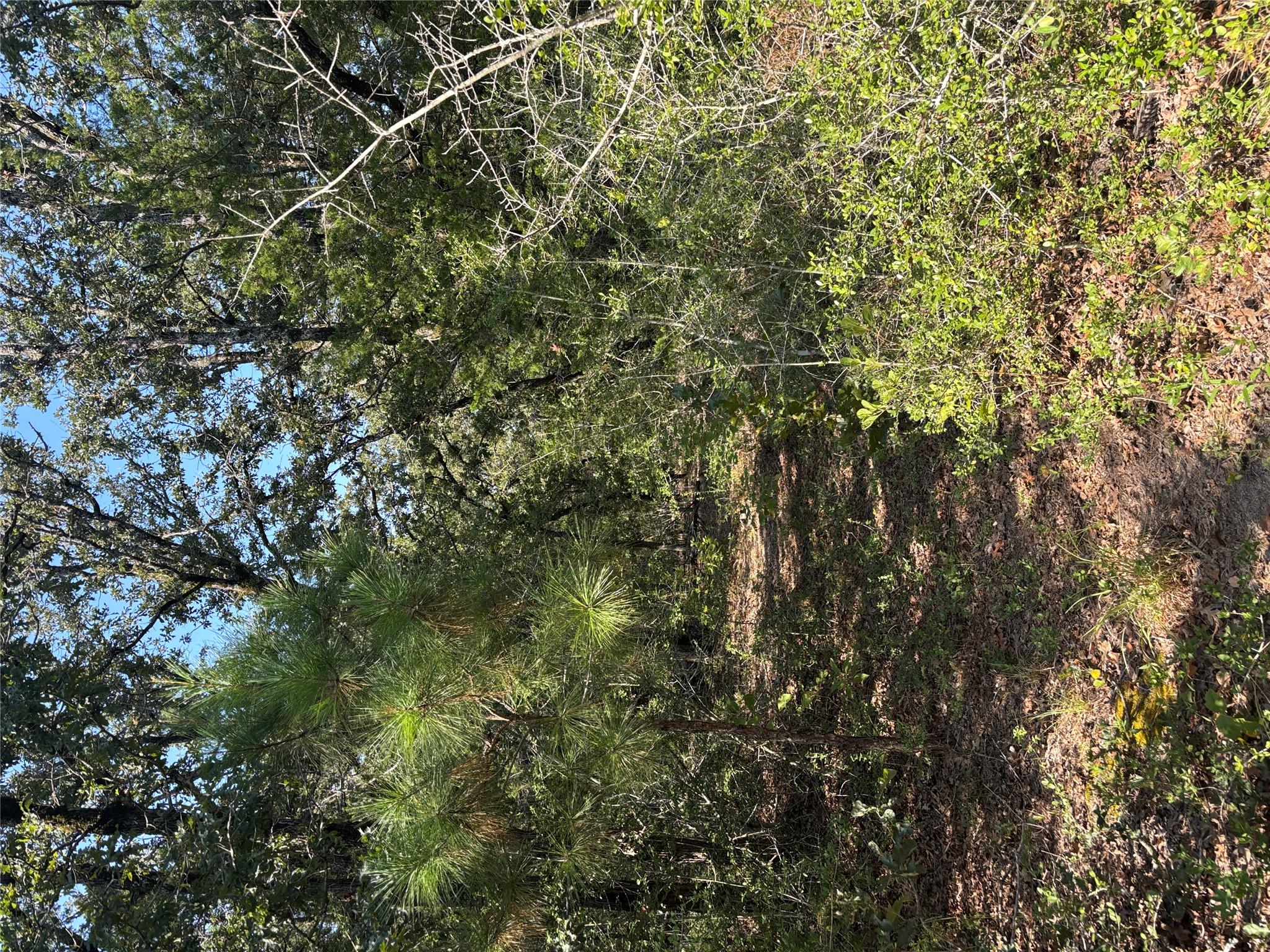 667 Paint Creek South RD — photo 4