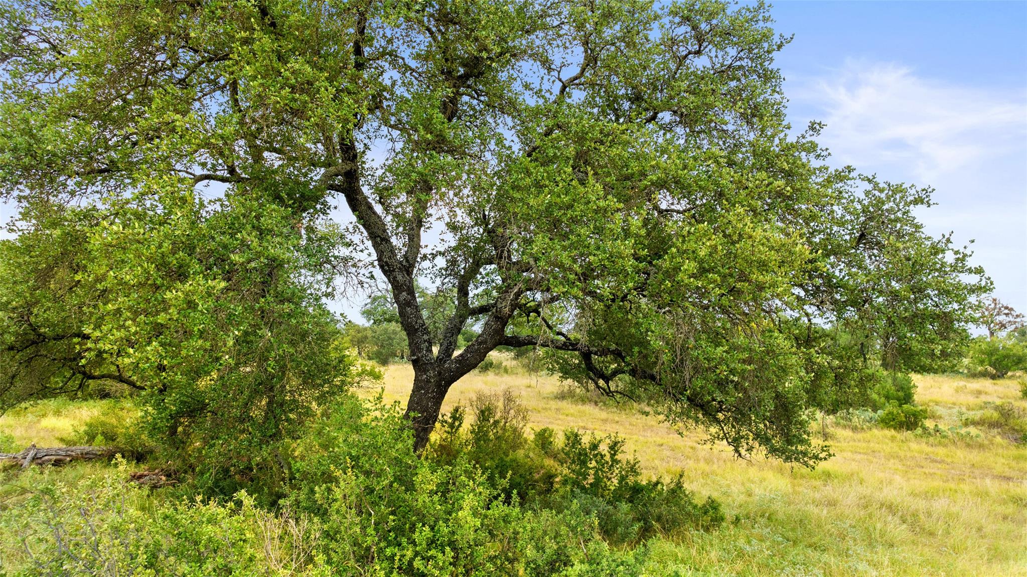 Lot 37 Vista Ridge DR — photo 4