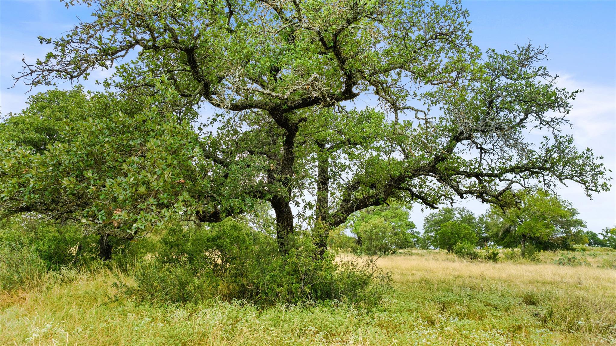 Lot 37 Vista Ridge DR — photo 5