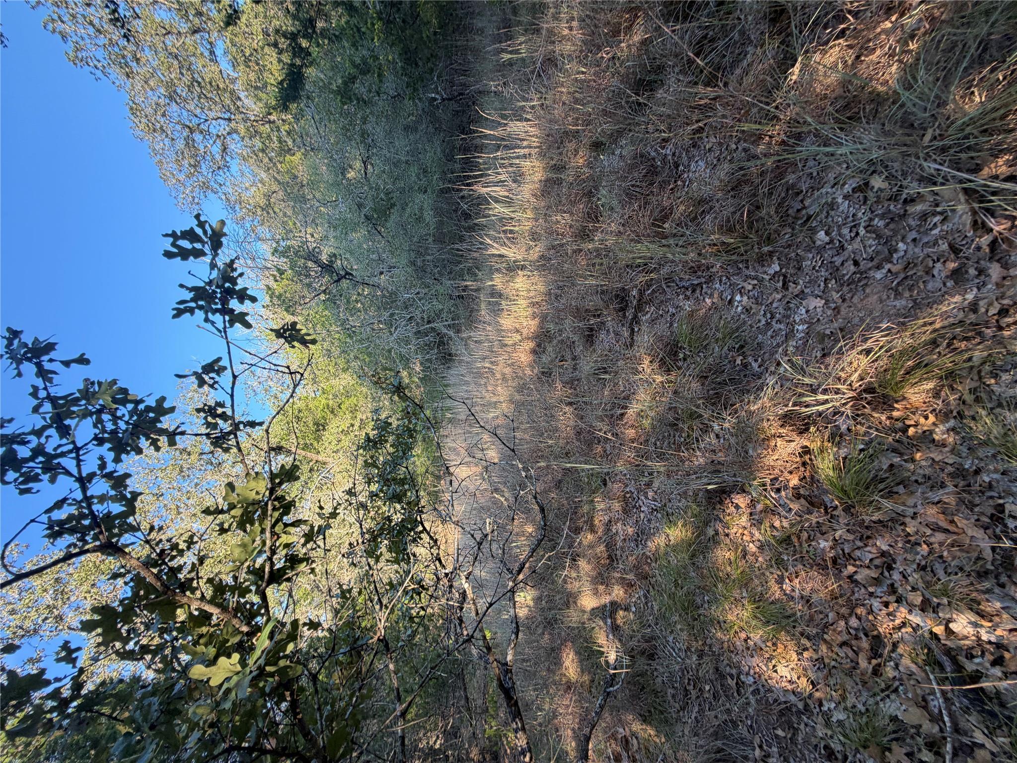 Lot 194 Kaelepulu DR — photo 3