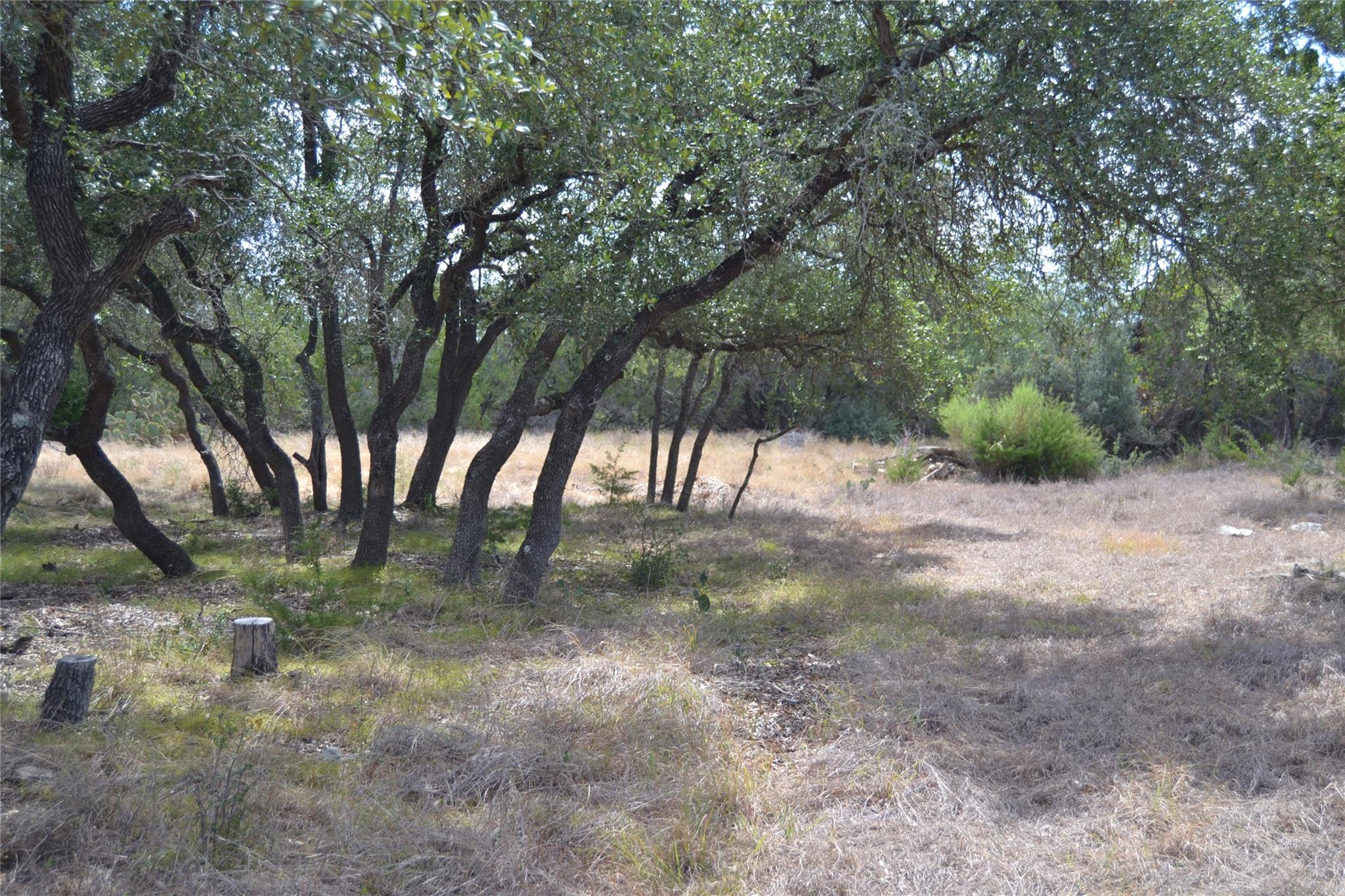 270 Gant RD — photo 3