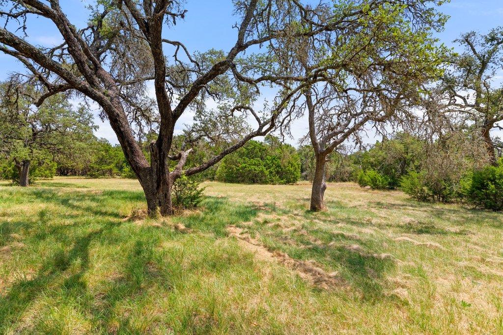 1984 Grape Creek RD — photo 5