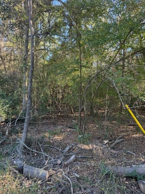 125 Helemano DR — photo 5