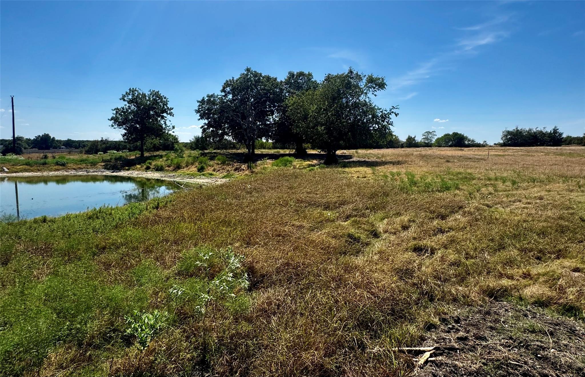 TBD lot 16 CR 327 — photo 4