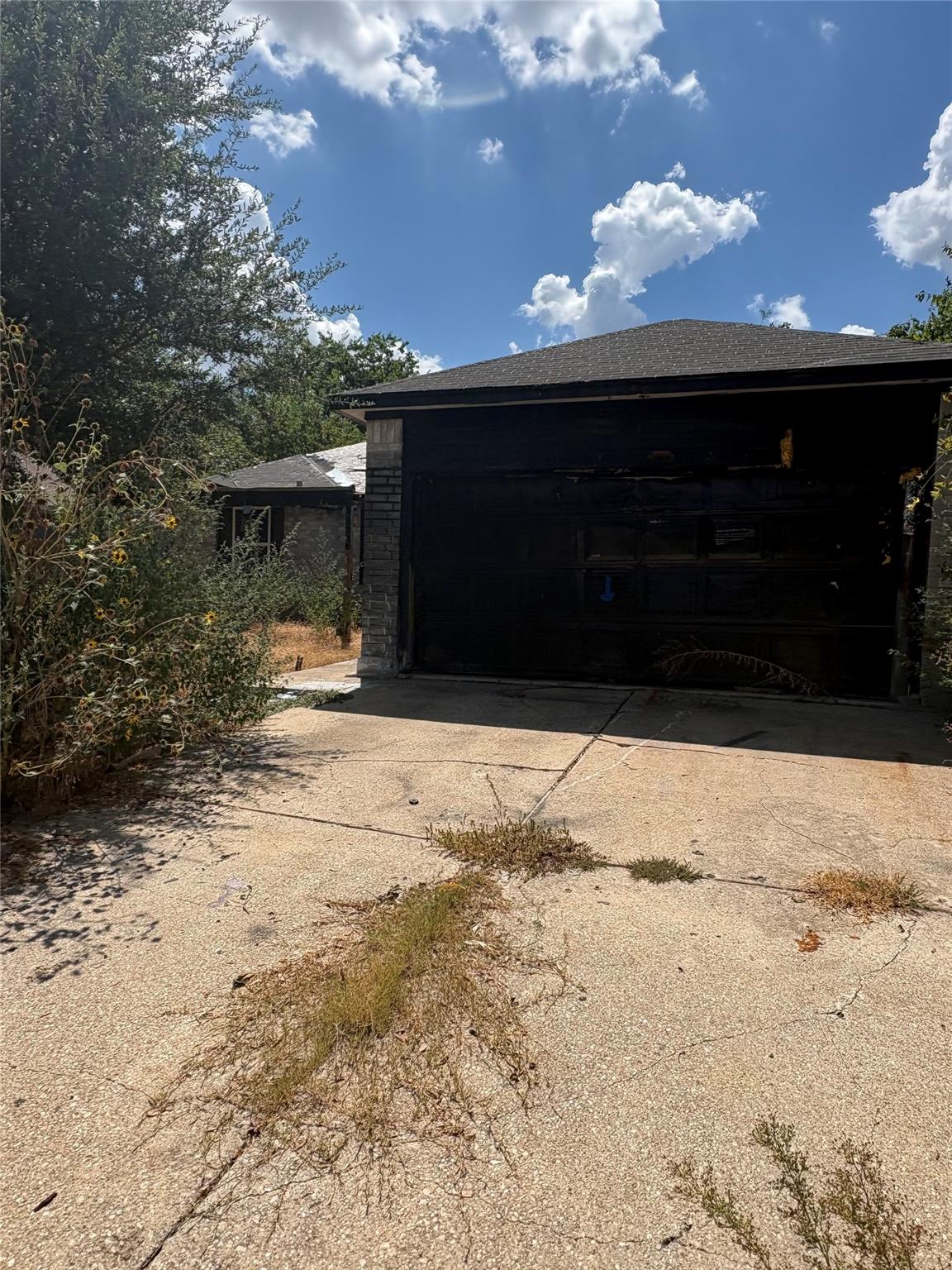 205 Barberry DR