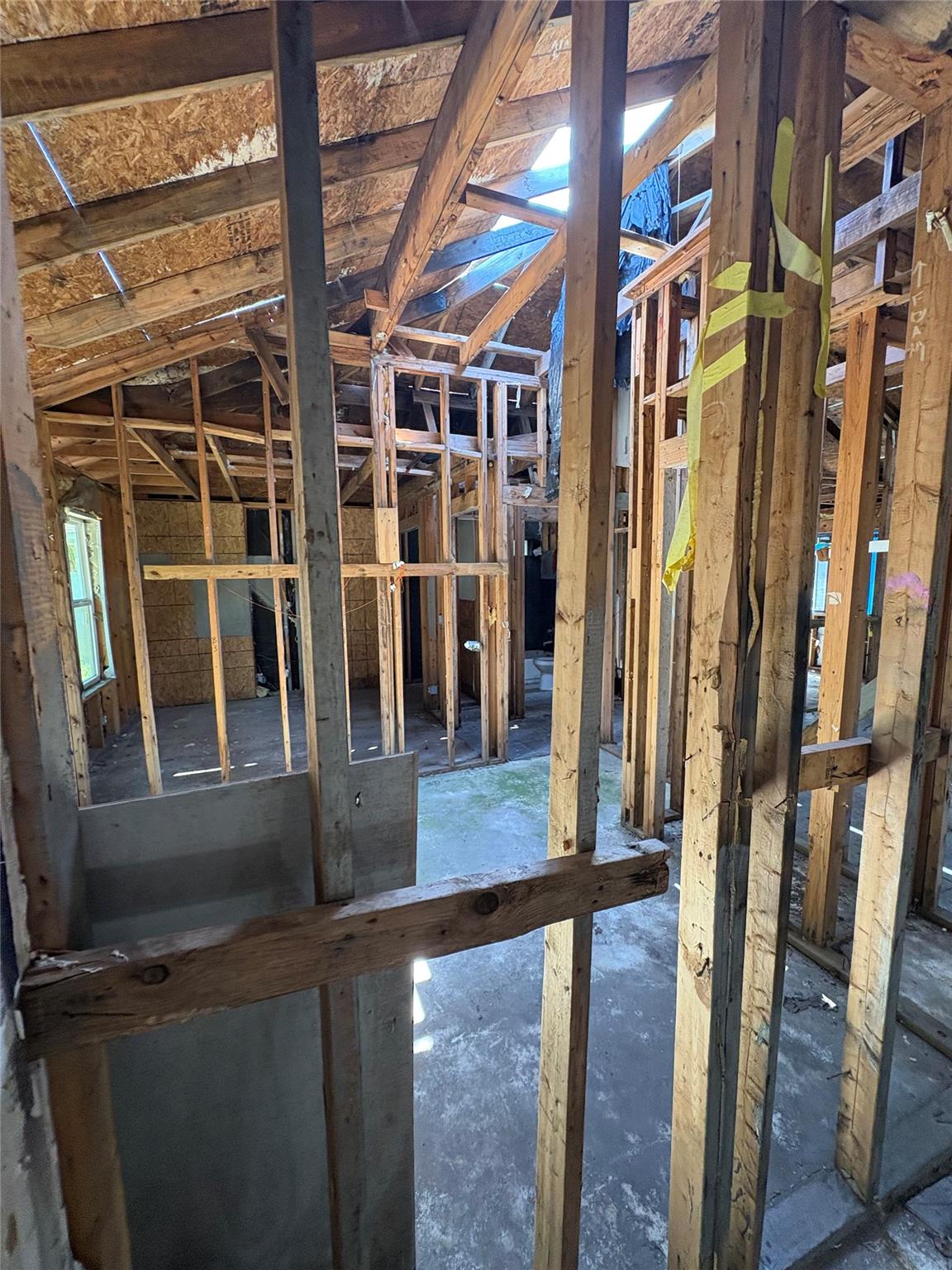 205 Barberry DR — photo 5