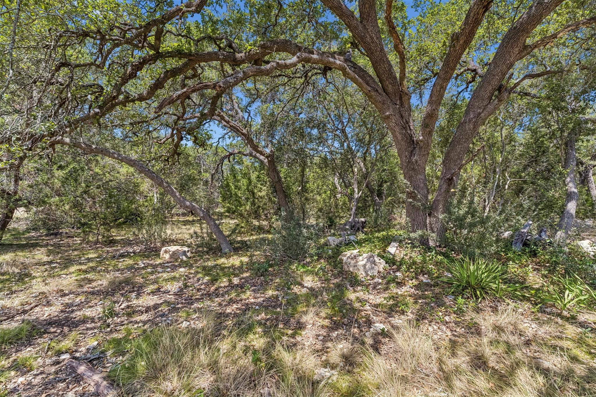 854 Maximino Ridge RD — photo 4