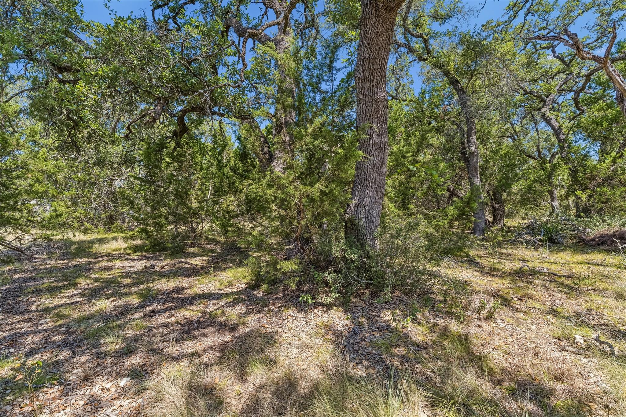854 Maximino Ridge RD — photo 5