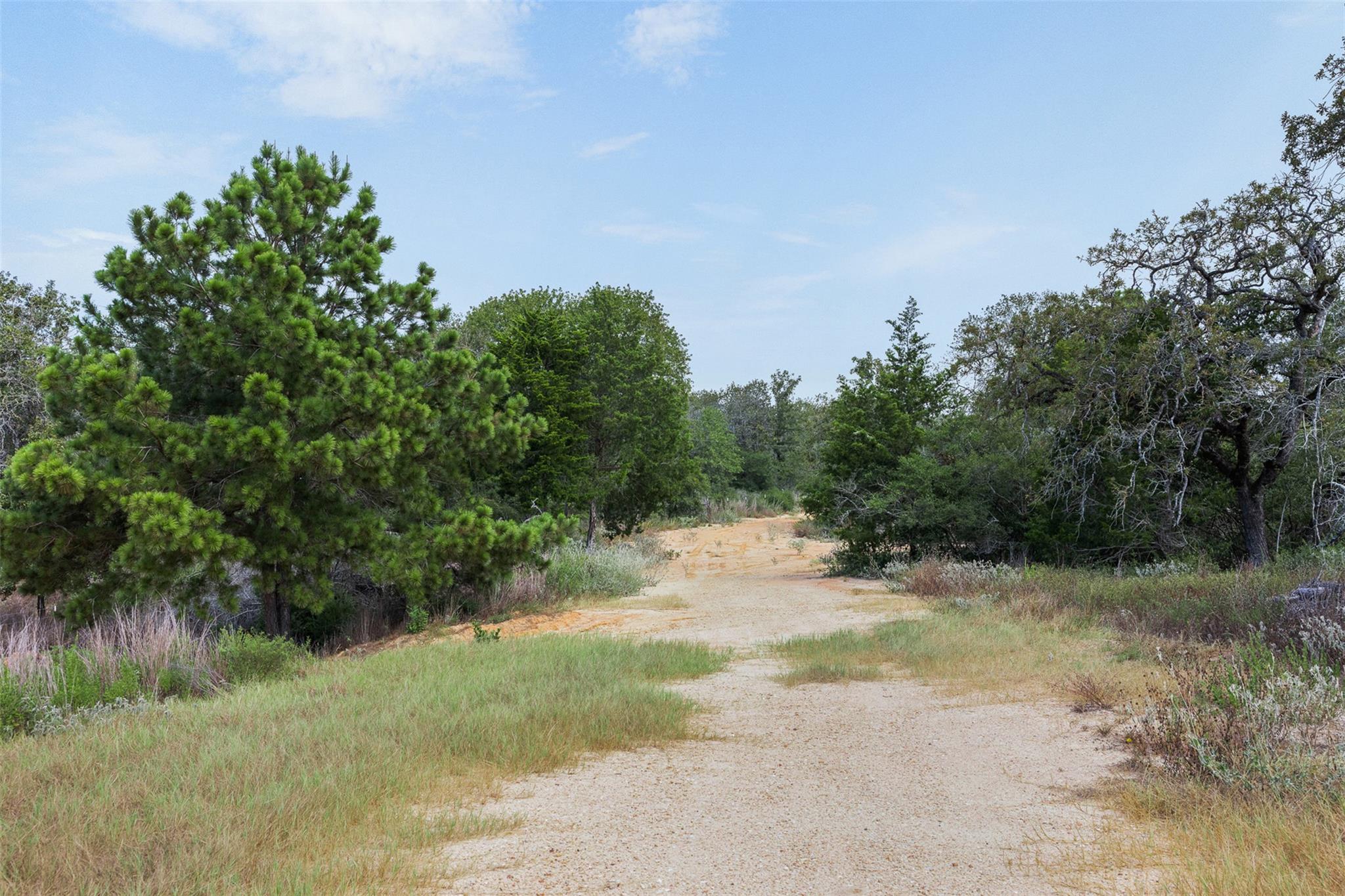 3301 Chuckwagon RD — photo 3