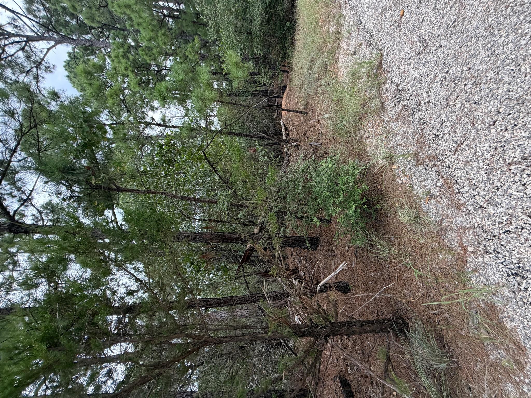 Lot 216 Hekili DR — photo 4