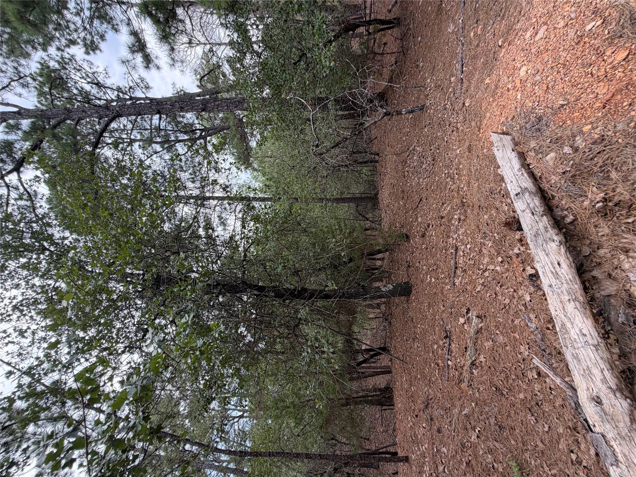 Lot 216 Hekili DR — photo 5