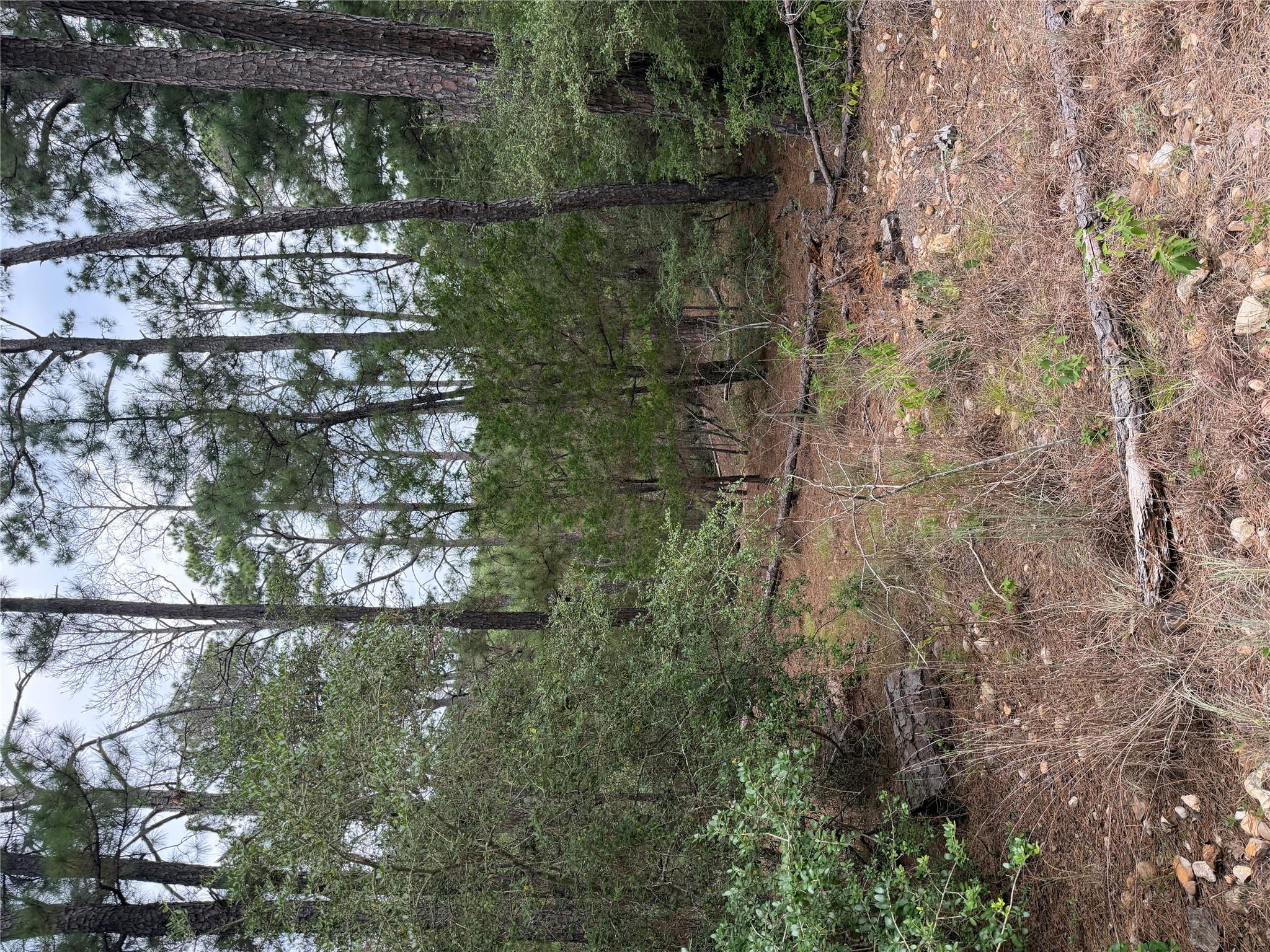 Lot 217 Hekili DR — photo 3