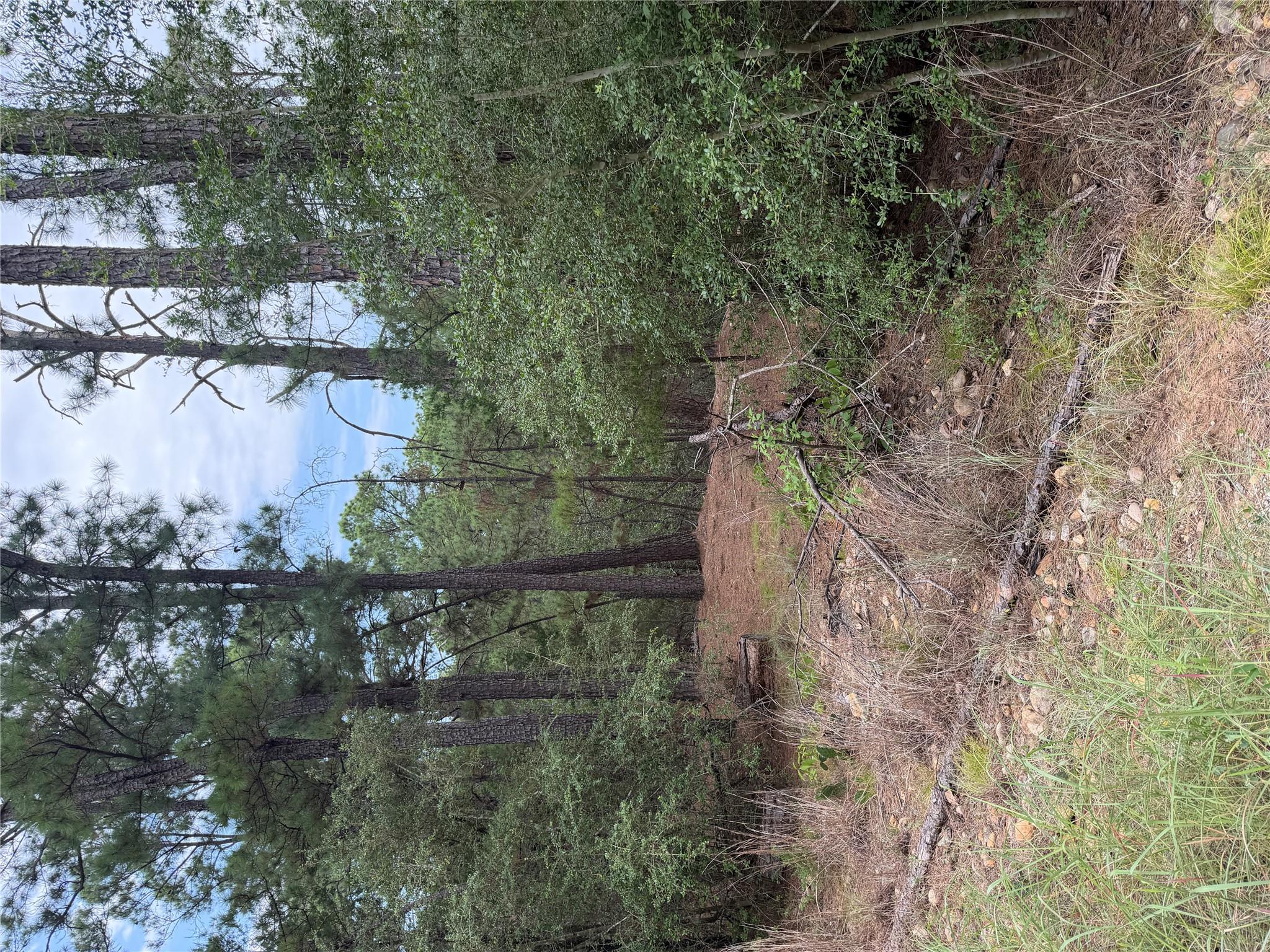 Lot 217 Hekili DR — photo 4
