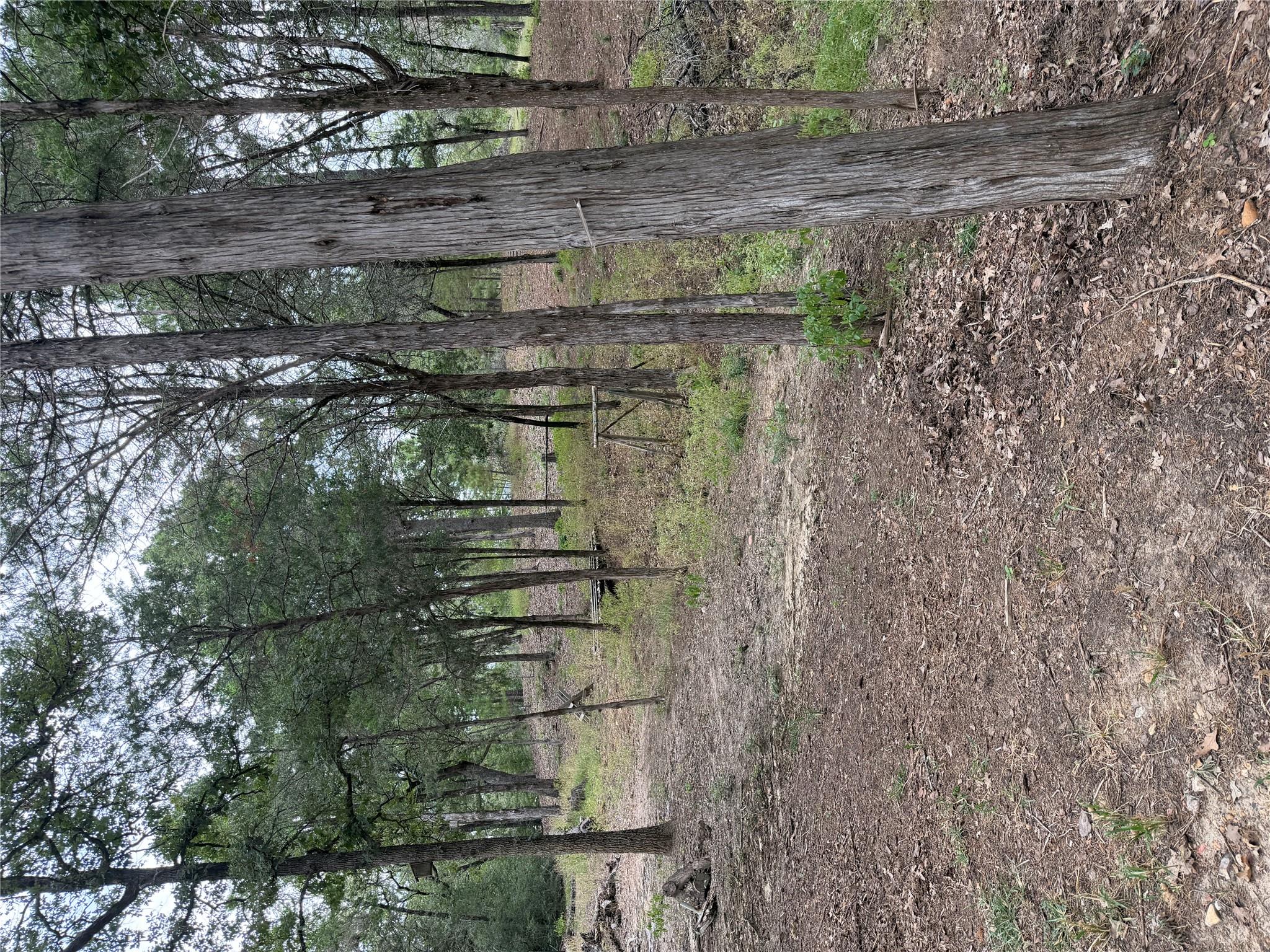 Multiple Lots Aka CT — photo 3