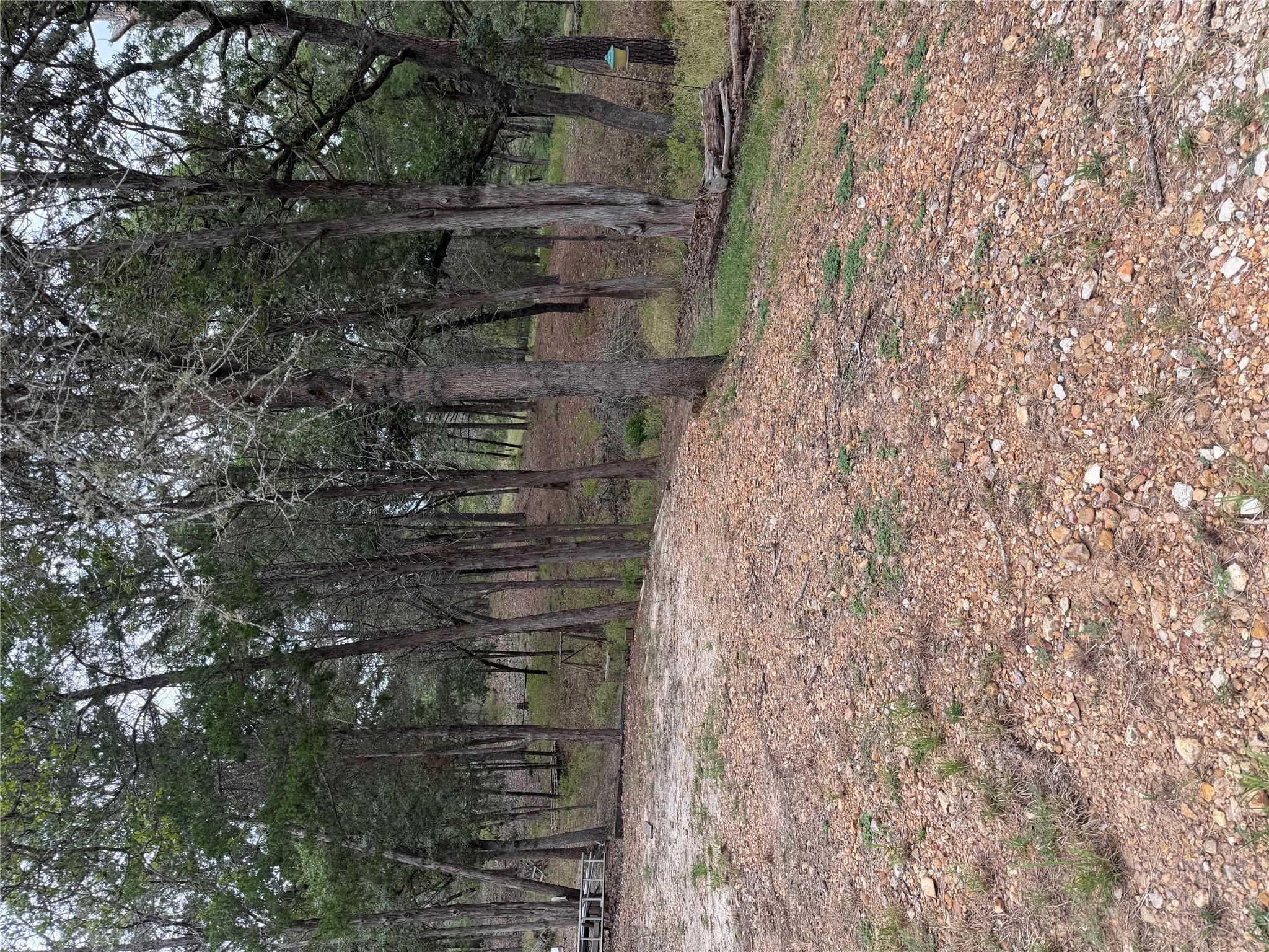 Multiple Lots Aka CT — photo 4