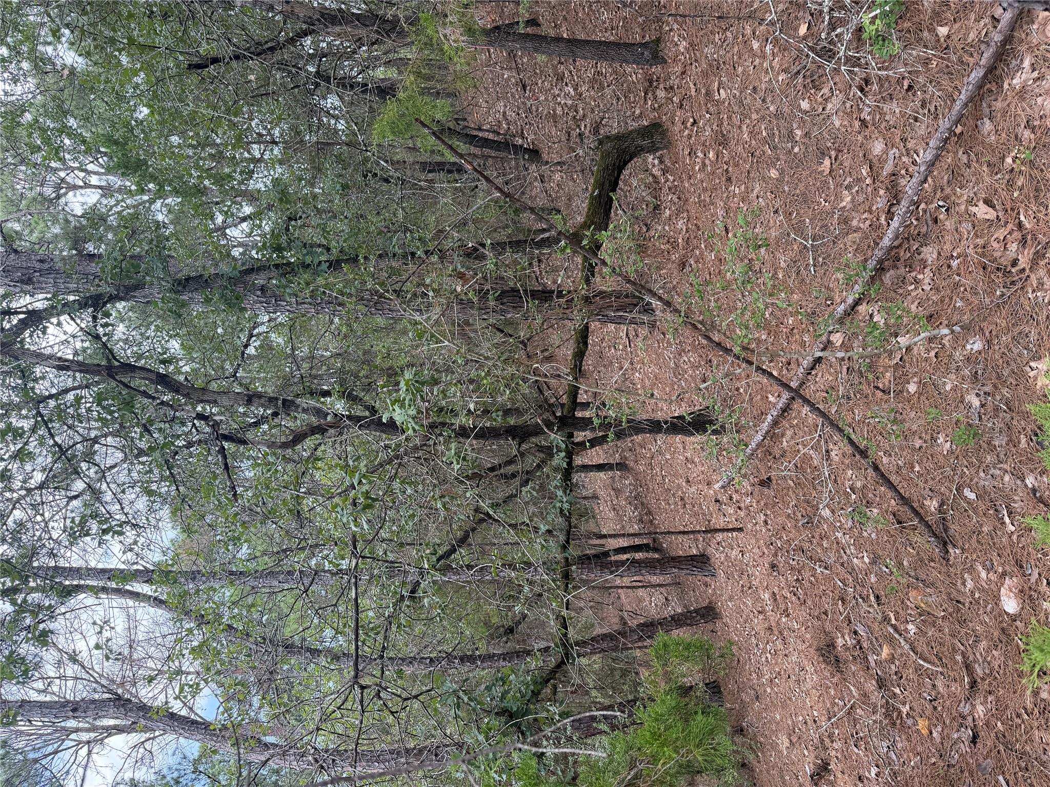 Lot 213 Hekili DR — photo 3