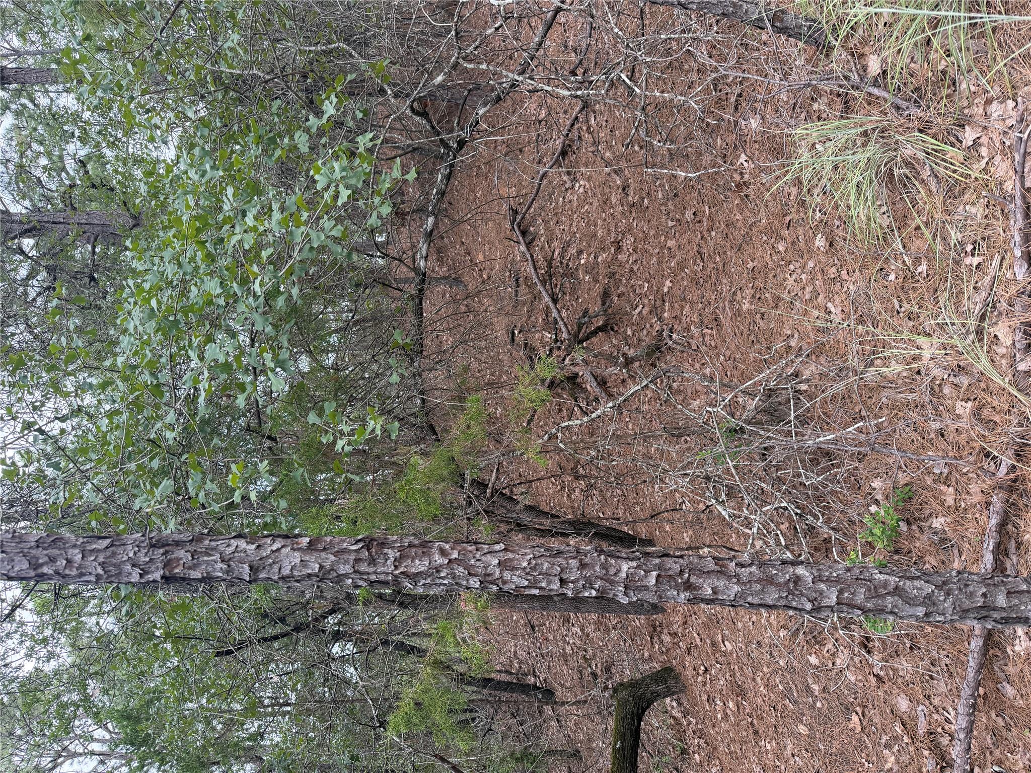 Lot 213 Hekili DR — photo 4