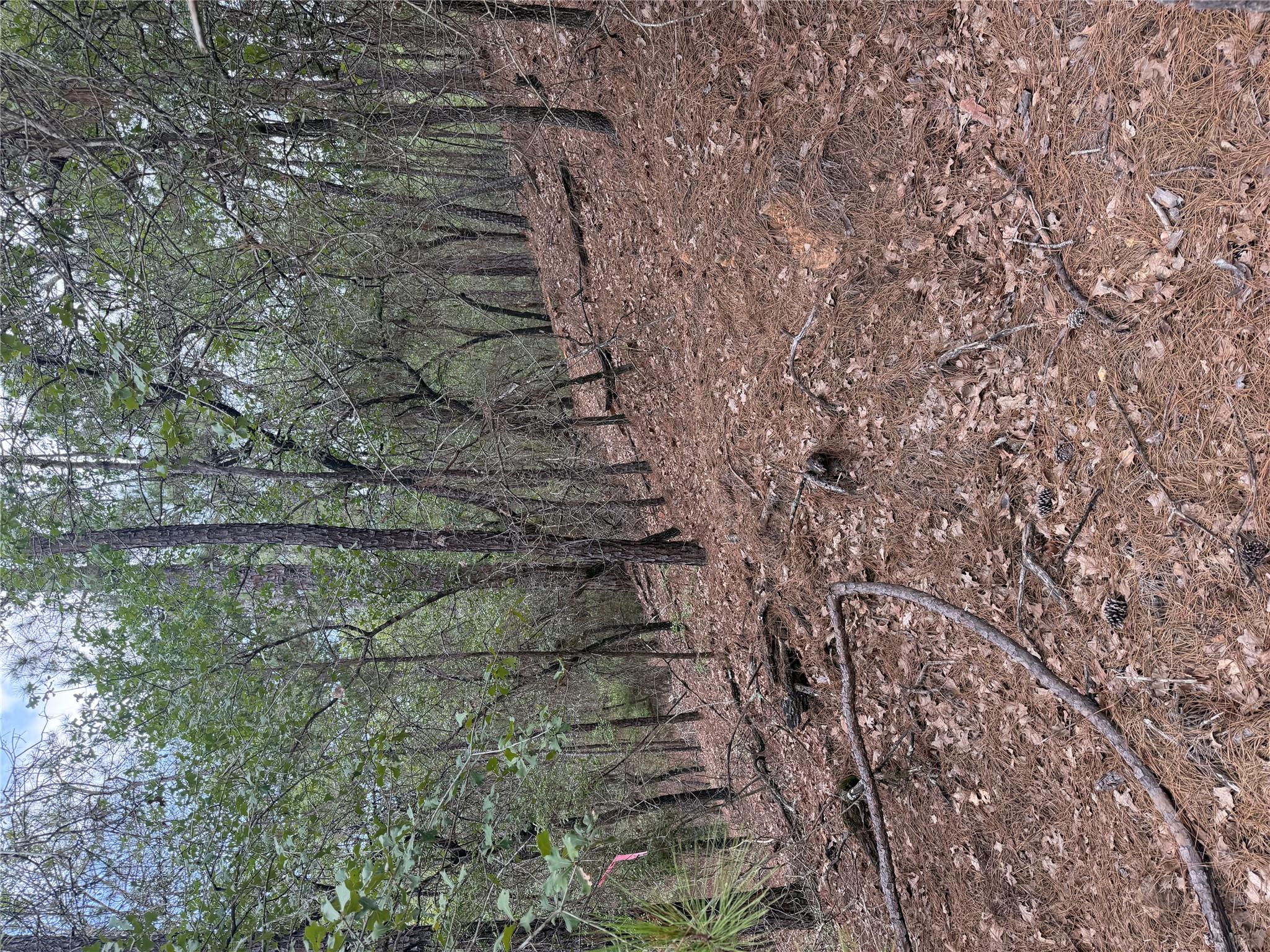 Lot 213 Hekili DR — photo 5