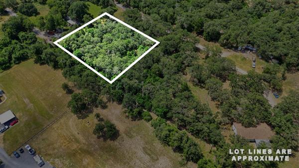 731 Stokes ST — photo 3