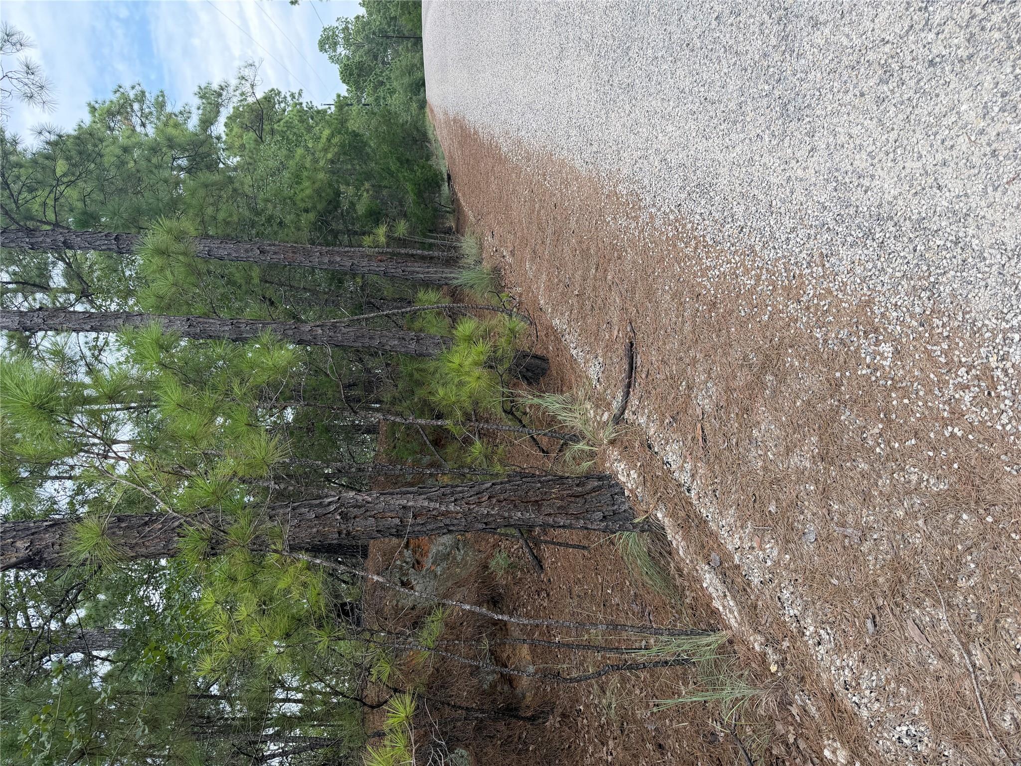 Lot 214 Hekili DR