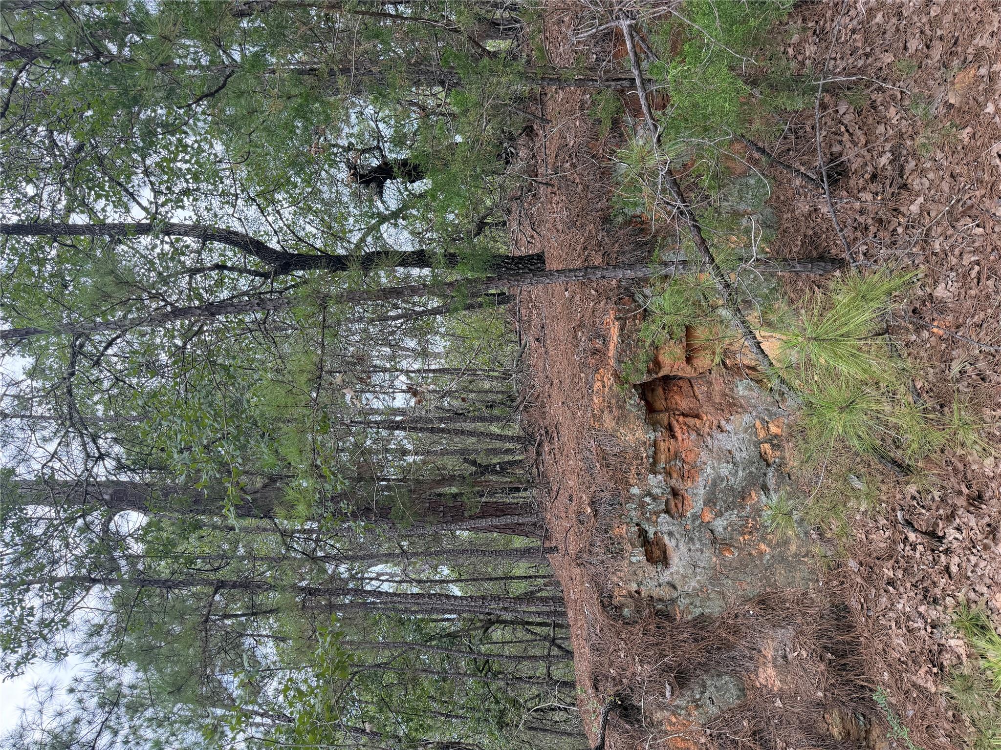 Lot 214 Hekili DR — photo 3