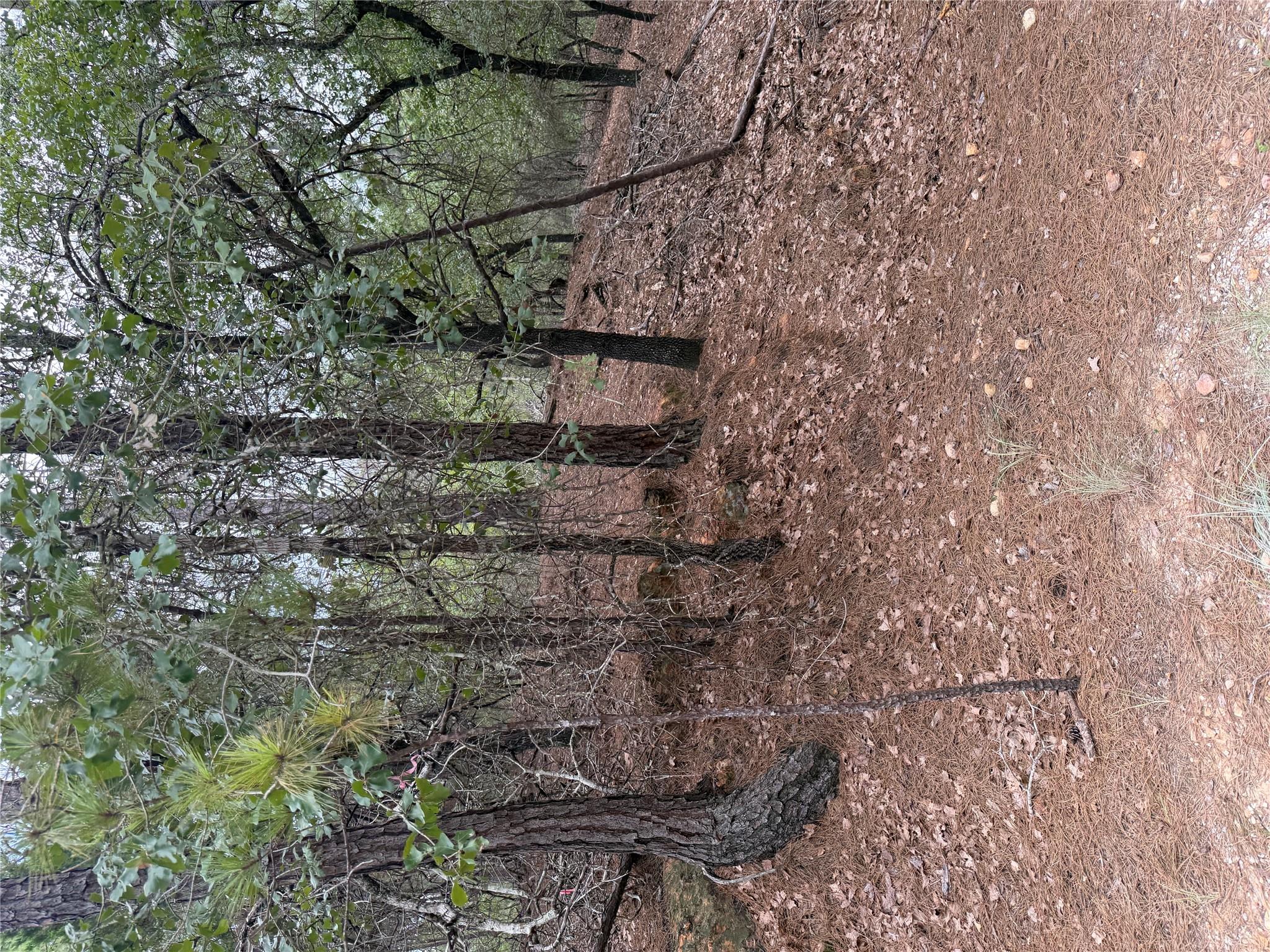 Lot 214 Hekili DR — photo 4