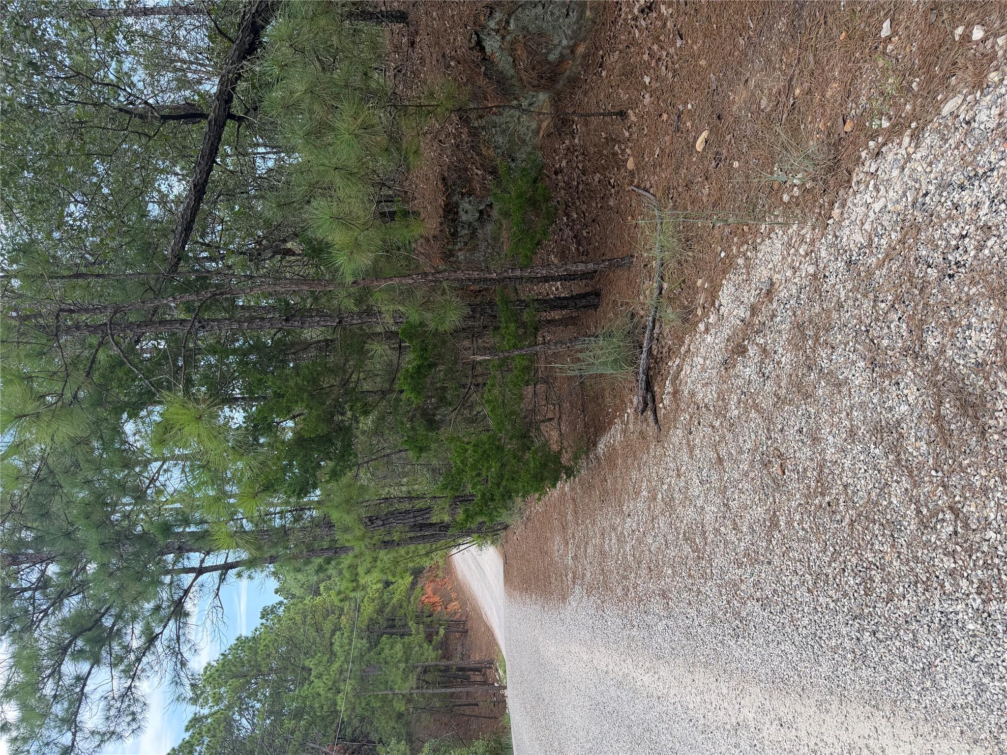 Lot 214 Hekili DR — photo 5