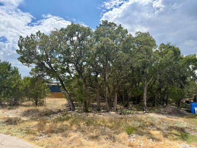 21707 Patton DR — photo 5