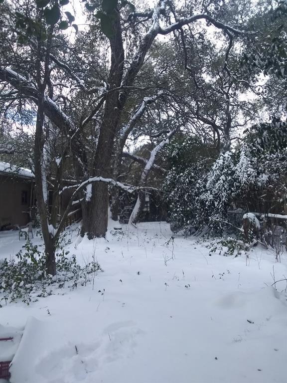 8002 PERSIMMON TRL — photo 3
