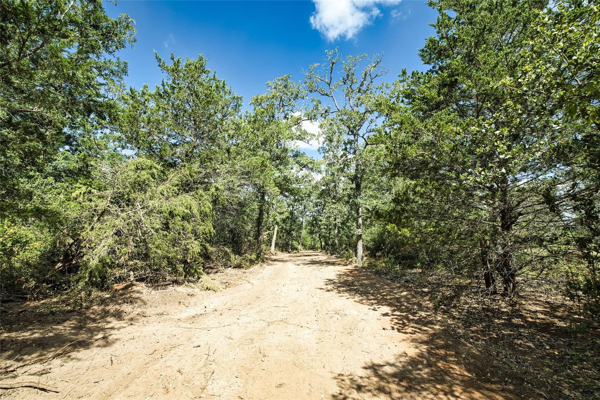 7780 Taylorsville Rd. — photo 4