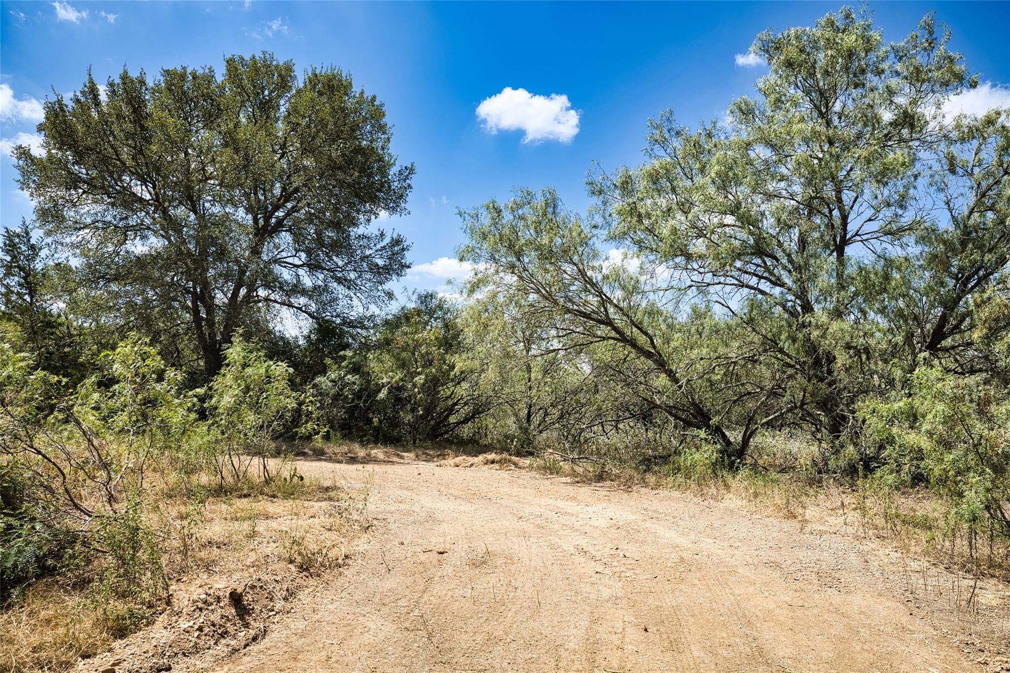 7780 Taylorsville Rd. — photo 5