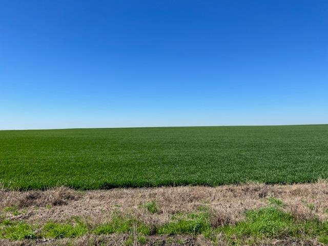 Tract 3 CR 355 — photo 3