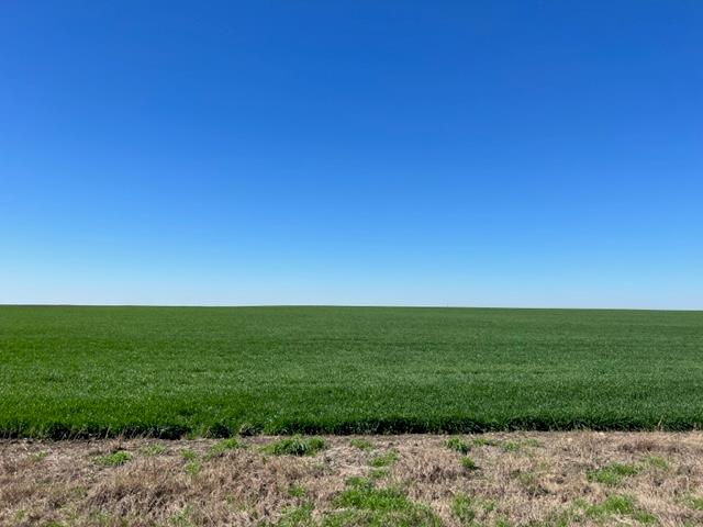 Tract 3 CR 355 — photo 4