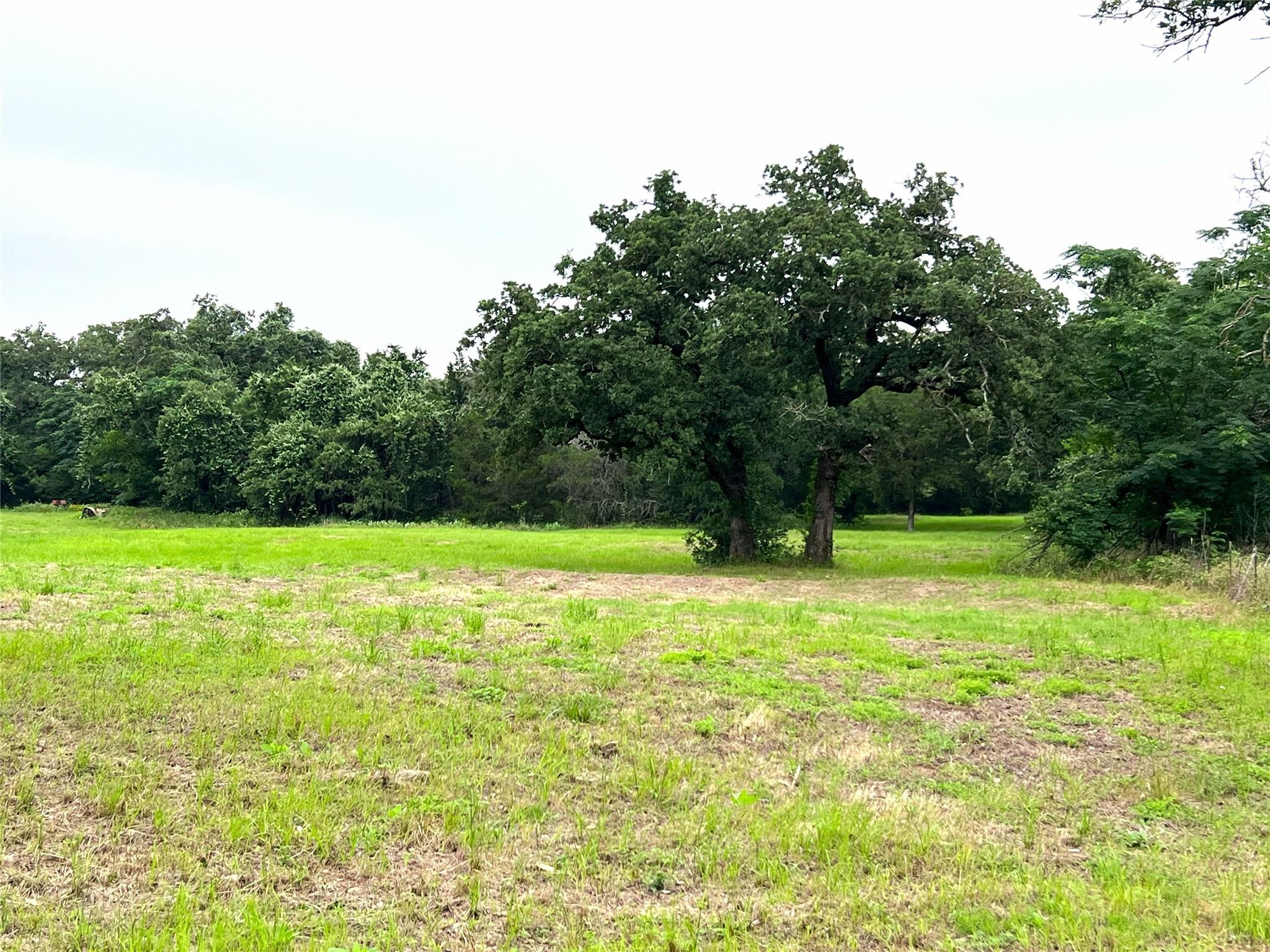 00 Rosanky Cattle Company RD — photo 3