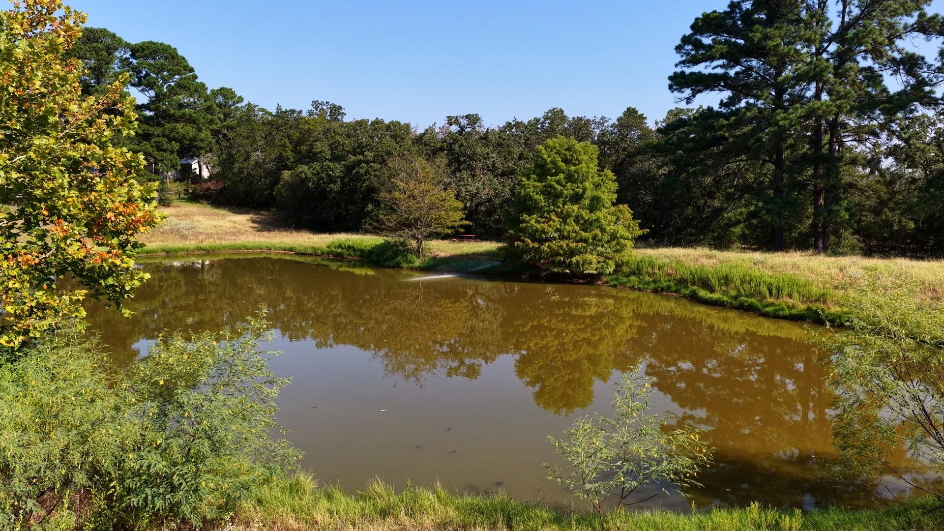 218 Little Ranch RD — photo 5